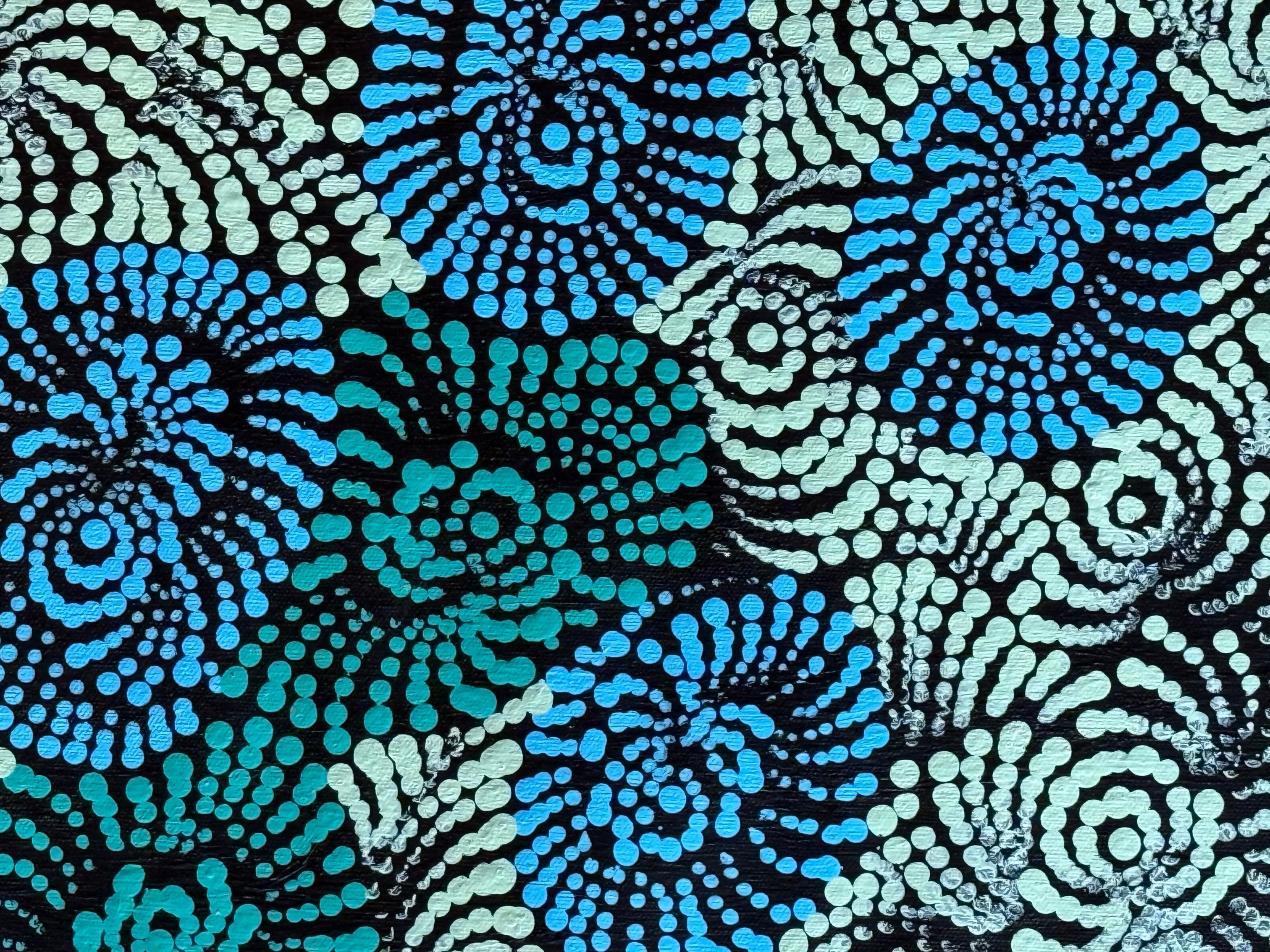Maria Nampijinpa Brown - Flying Ants Dreaming (Pamapardu Jukurrpa) .48-5