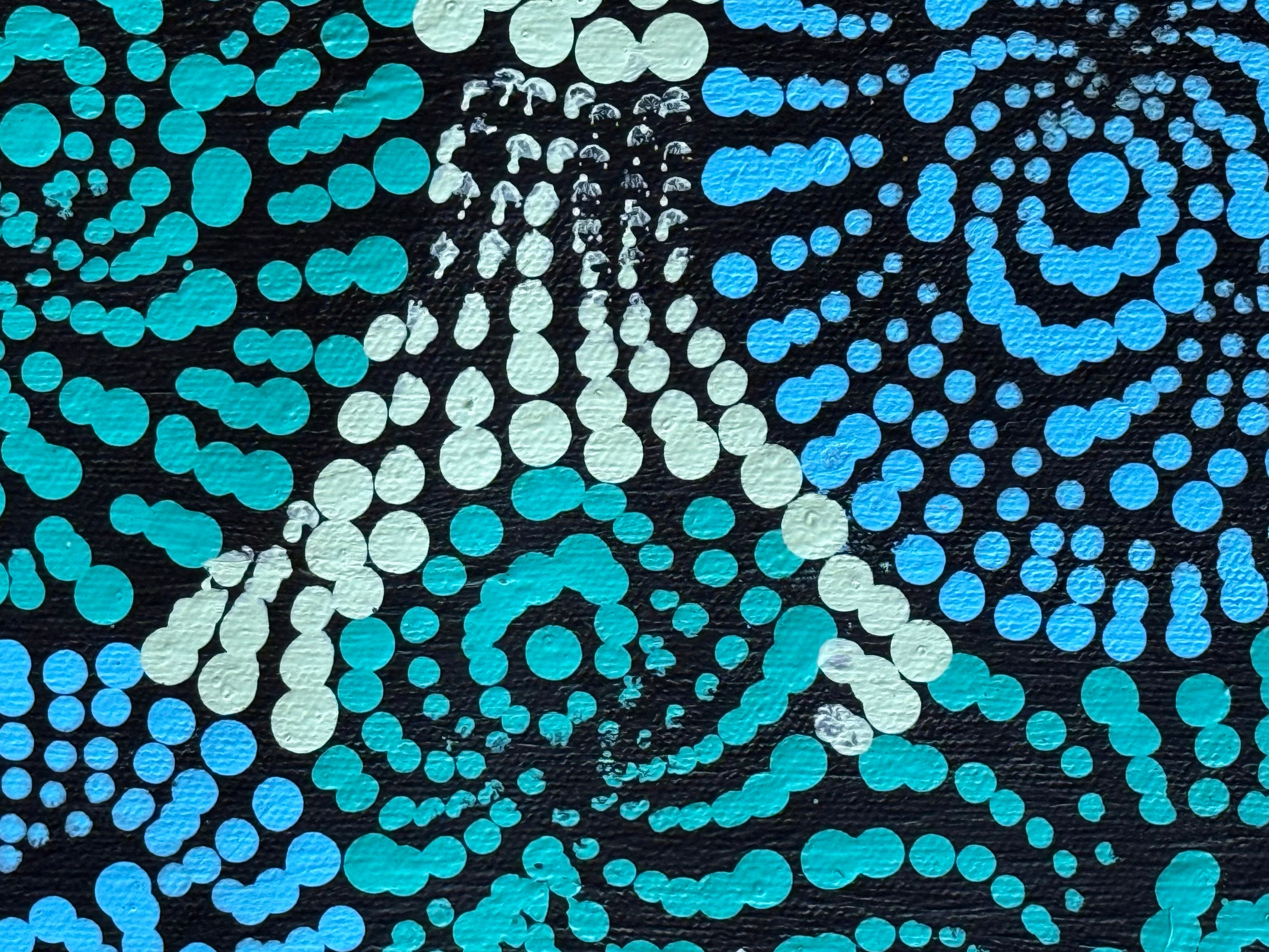 Maria Nampijinpa Brown - Flying Ants Dreaming (Pamapardu Jukurrpa) .48-5