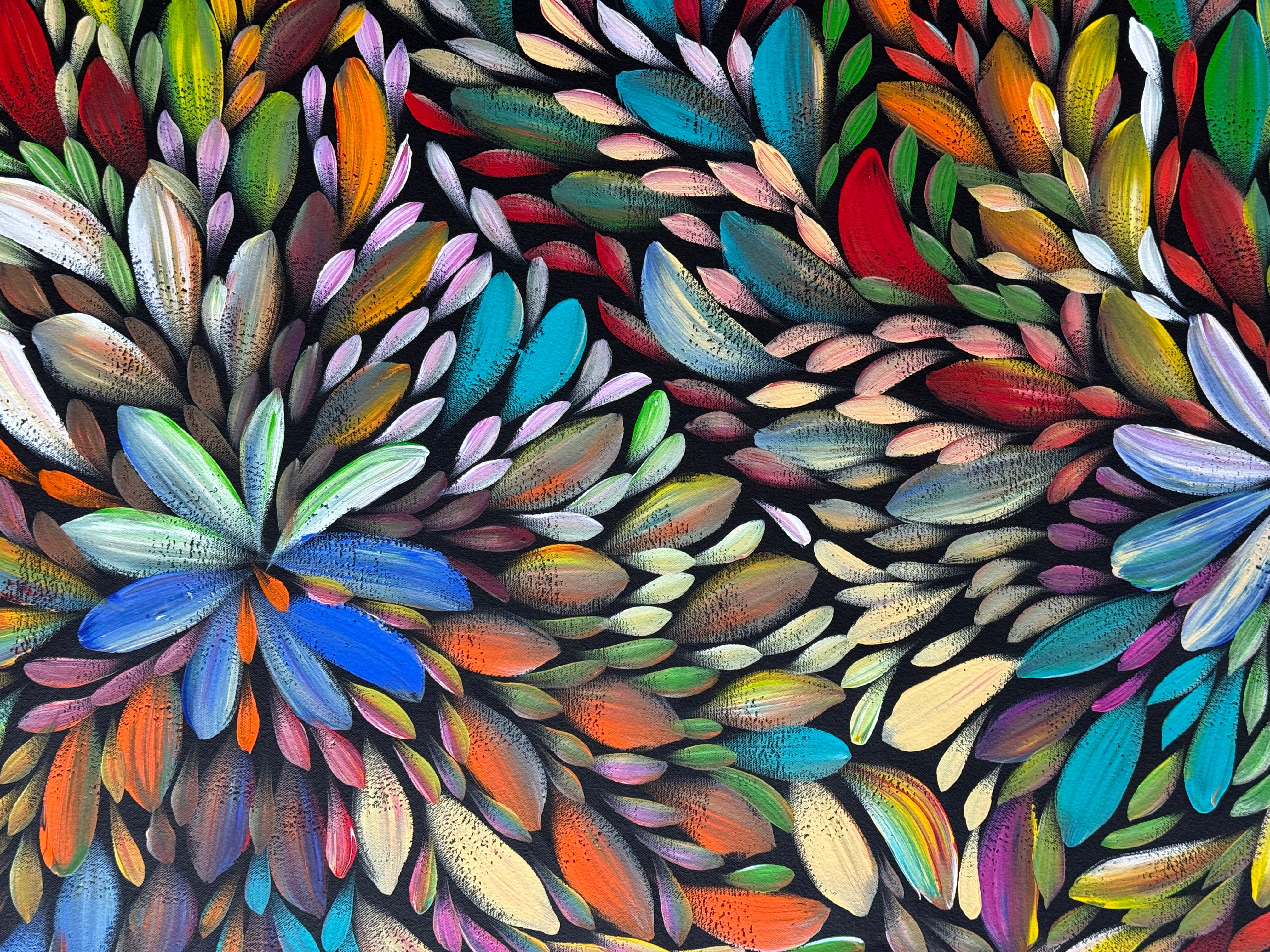 Louise Numina Napananka - Bush Medicine Leaves .25-6