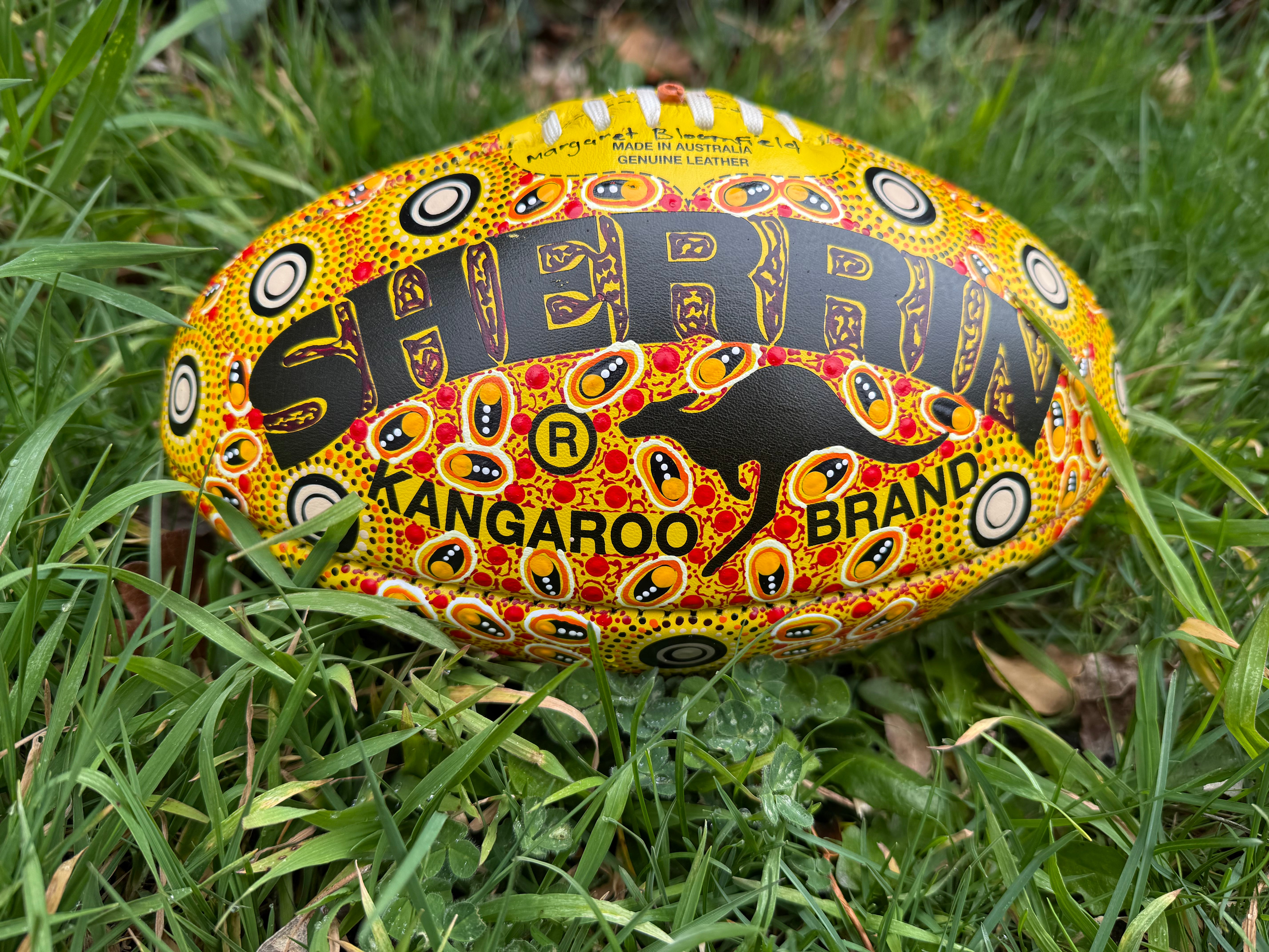 Hand Painted Sherrin Football - Margaret Bloomfield