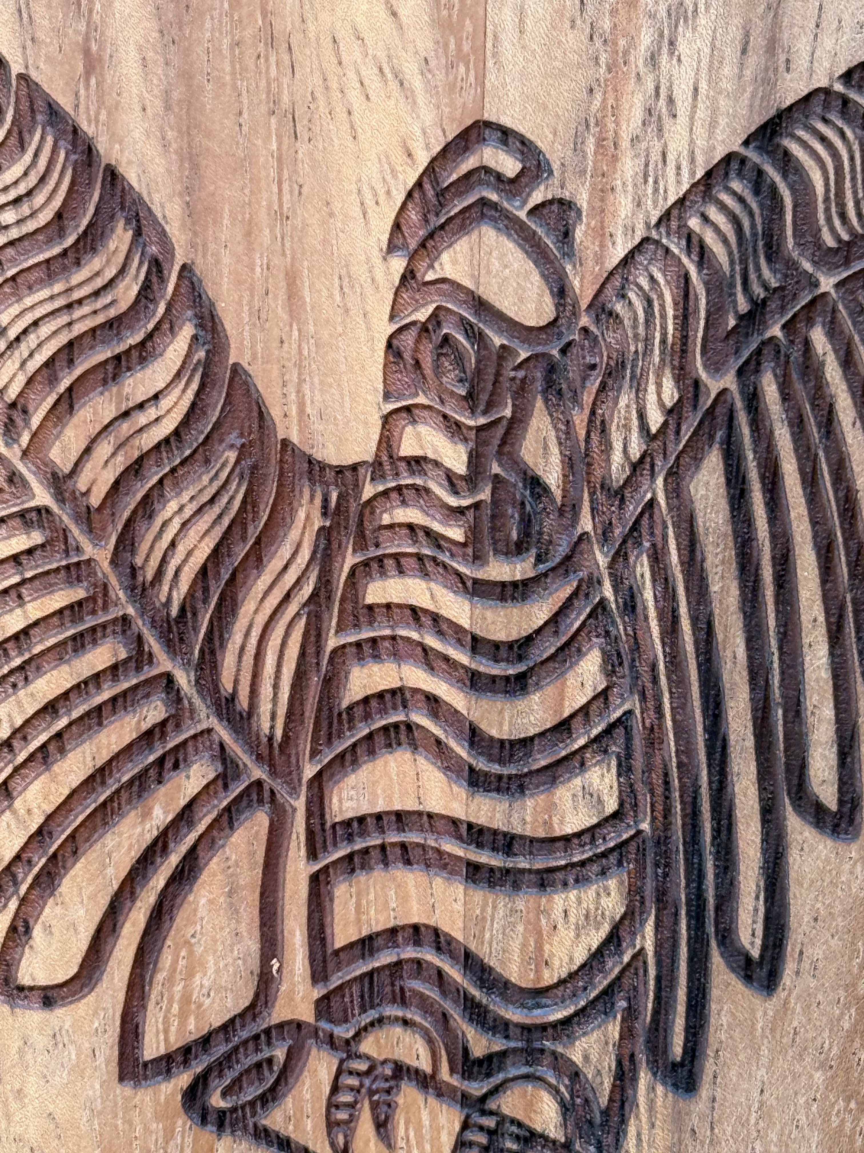 Acacia Square Board - Black Cockattoo On Branch - Mick Harding