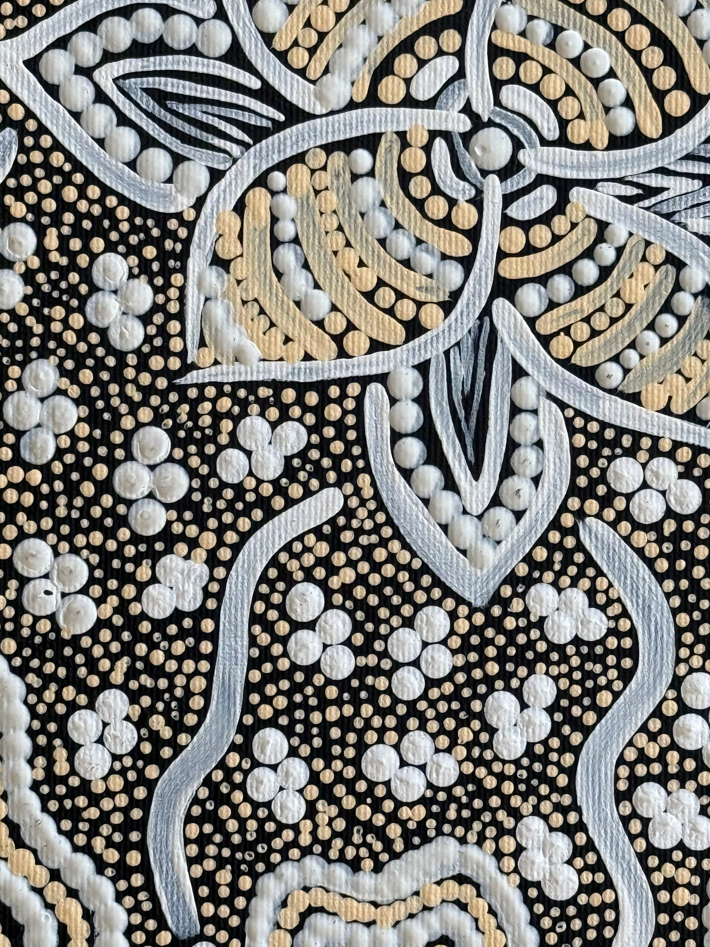 Marcina Napurrurla Foster - Watiya-warnu Jukurrpa (Seed Dreaming) 30x30cm Pre-stretched Linen