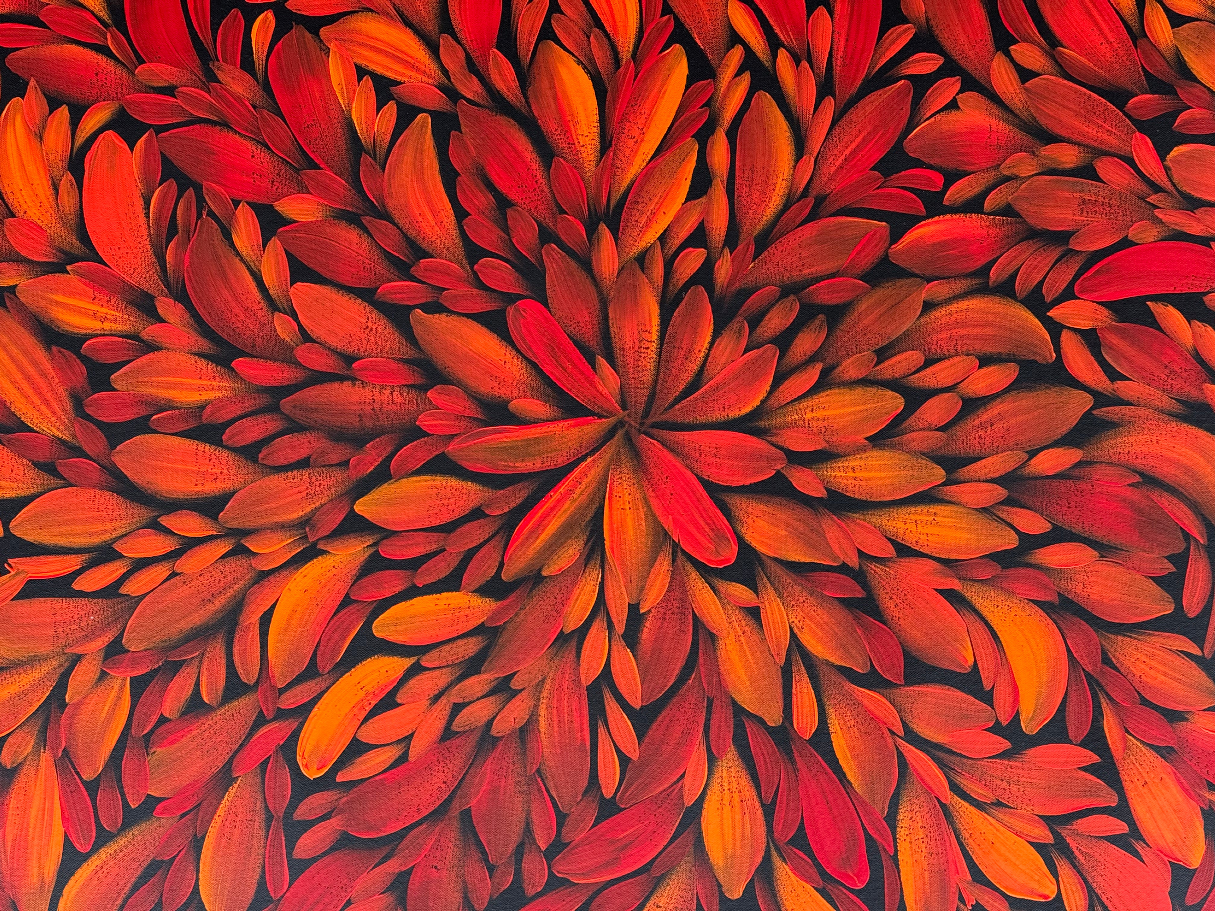 Louise Numina Napananka - Bush Medicine Leaves .57-47