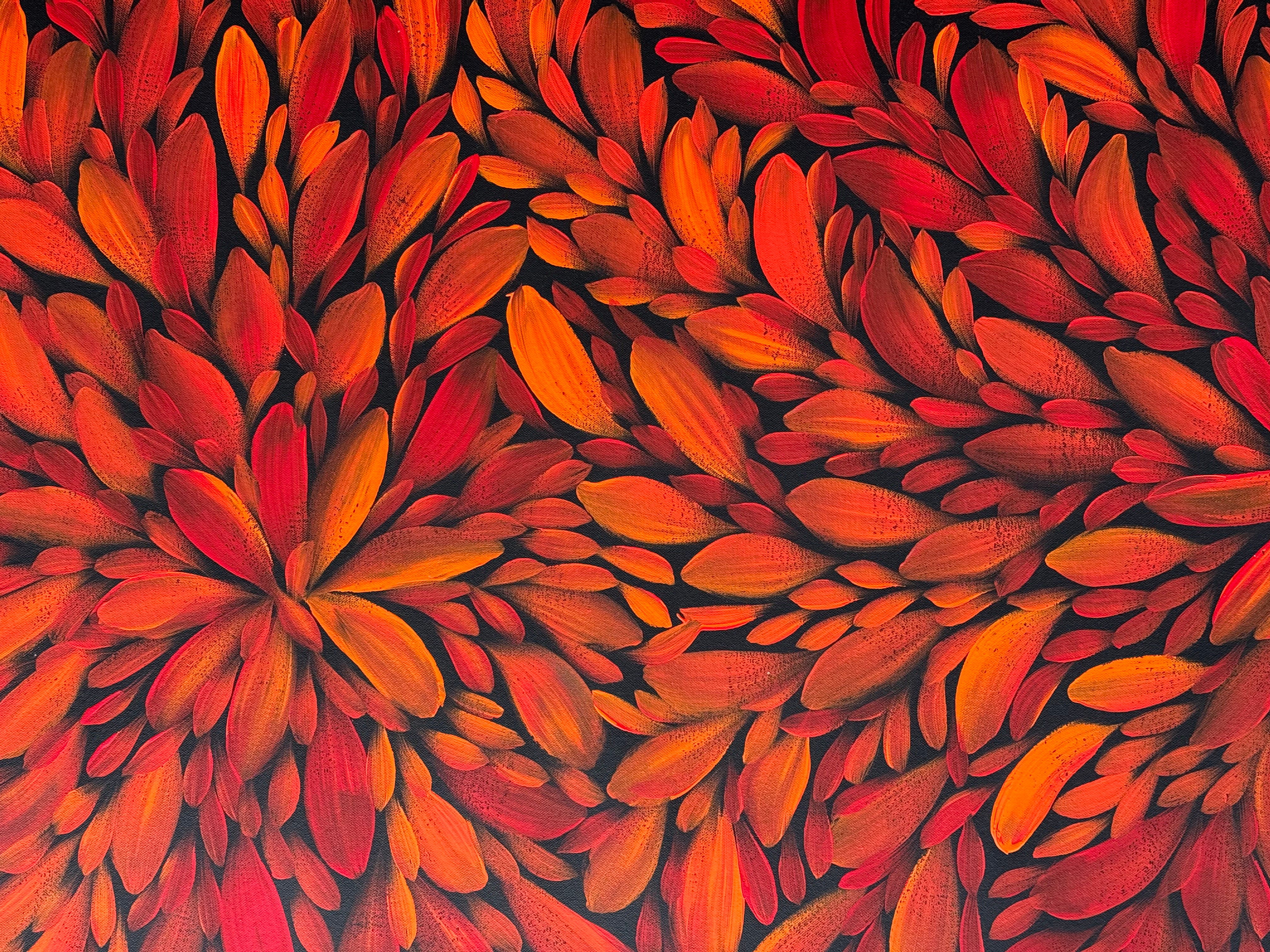 Louise Numina Napananka - Bush Medicine Leaves .57-47