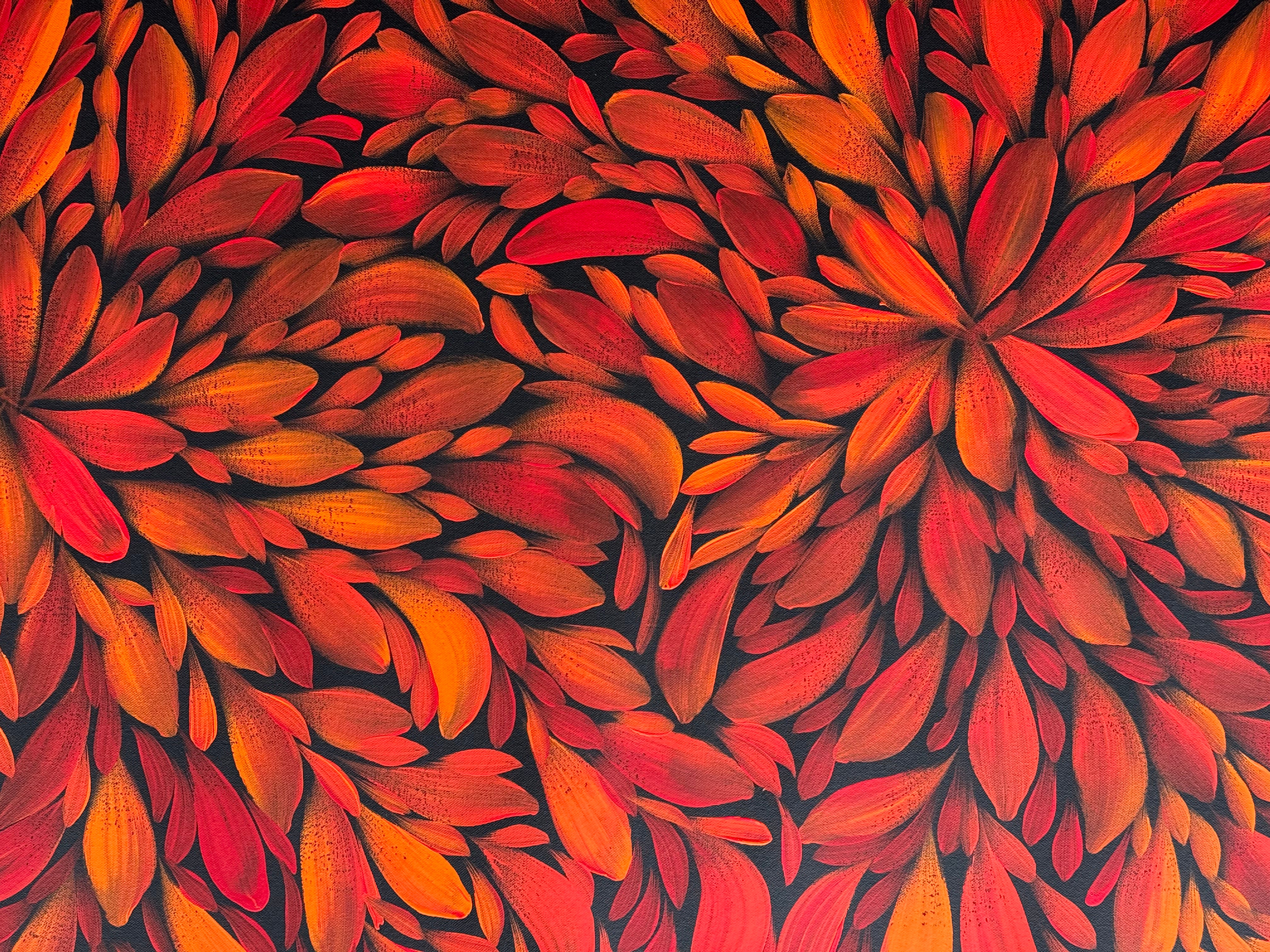 Louise Numina Napananka - Bush Medicine Leaves .57-47