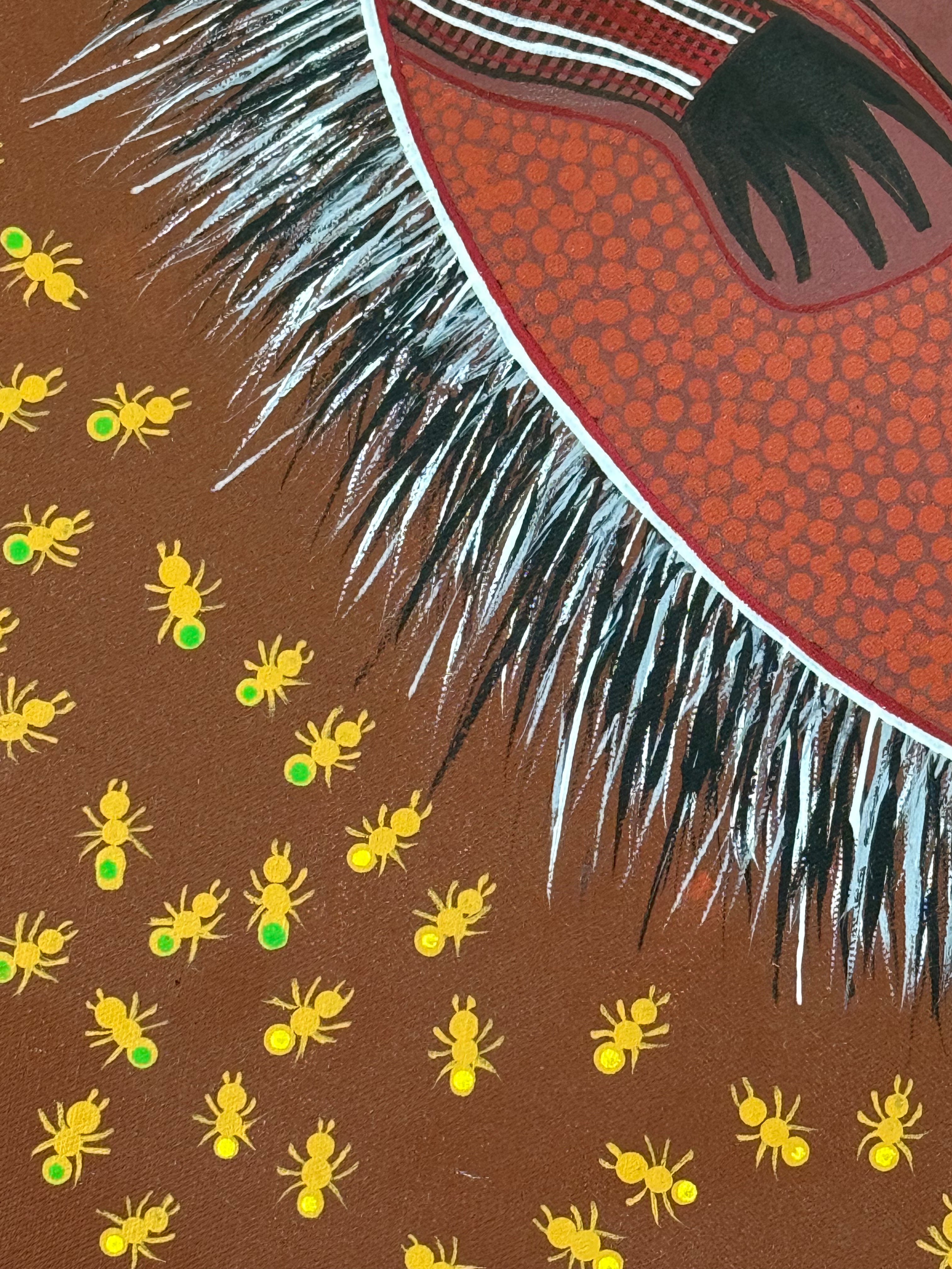 Artist Unknown - Echidna and Ants