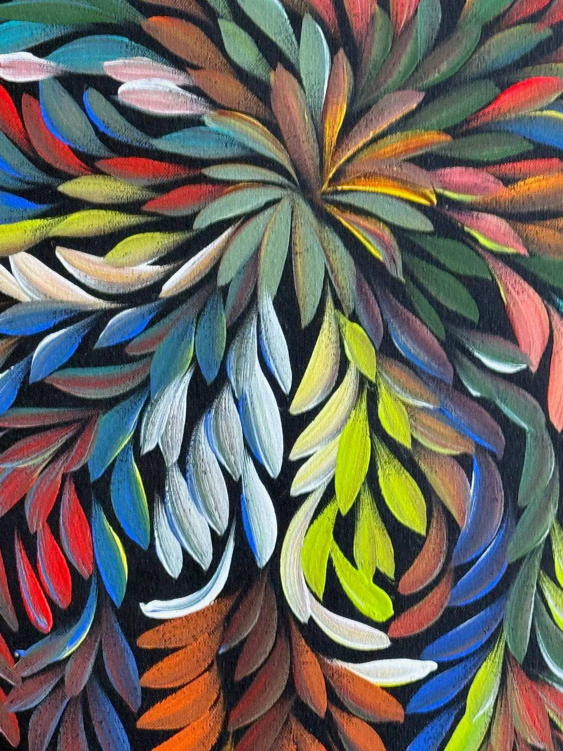 Louise Numina Napananka - Bush Medicine Leaves - 60x60cm .19-41