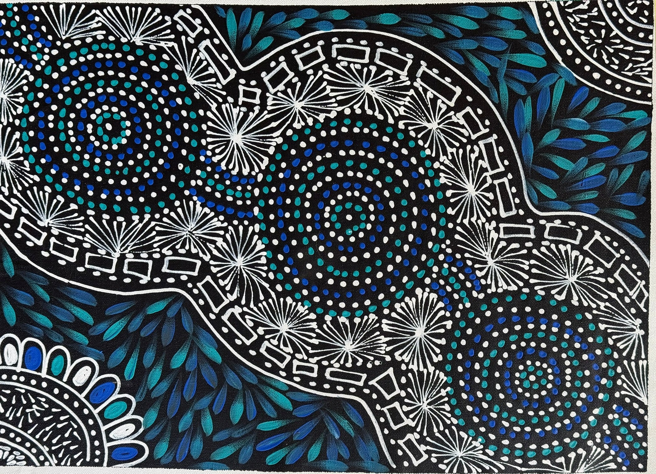 Selina Numina Kamprina - Seeds and Waterholes .05-1