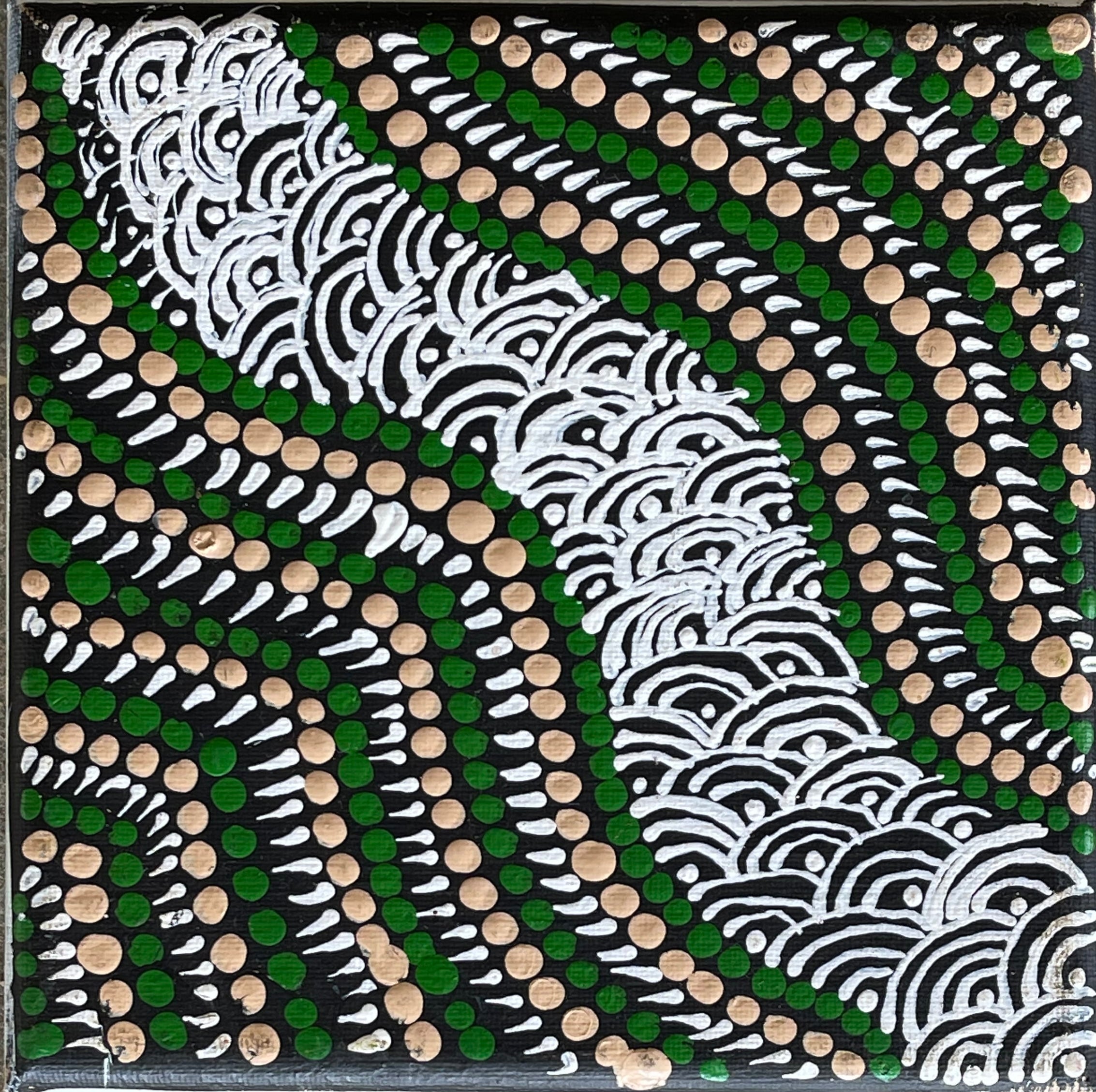 Shonelle Napurrurla Stafford - 13 x 13cm - Lukarrara Jukurrpa (Desert Fringe-Rush Seed Dreaming)