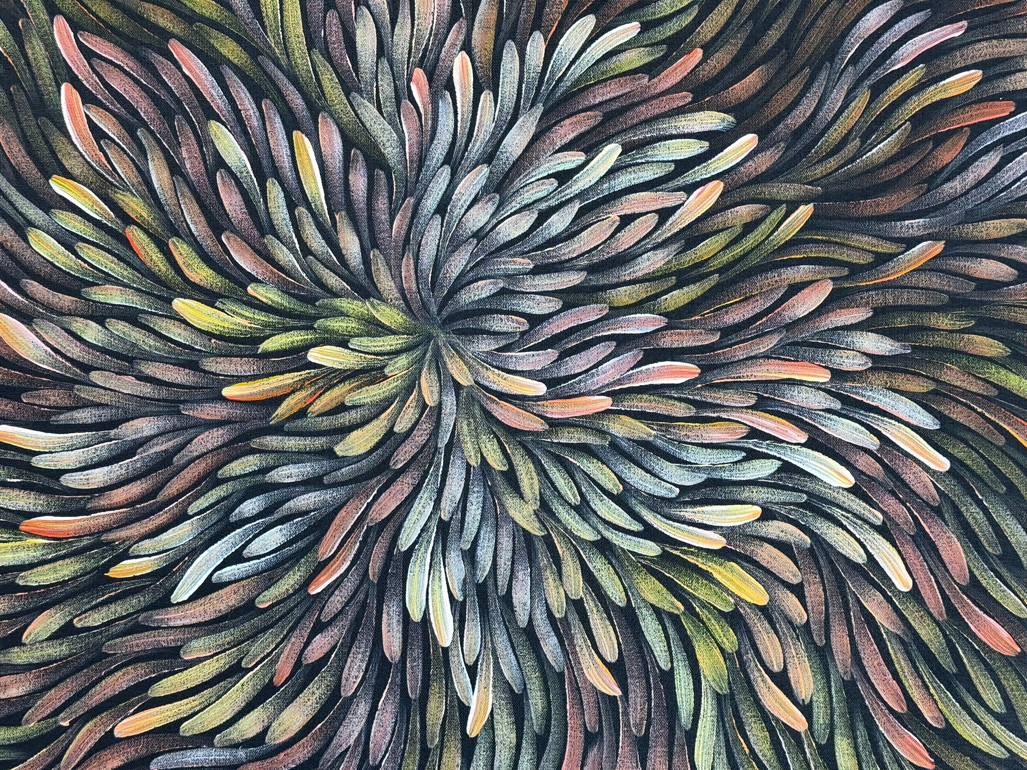 Maryanne Gibson - Bush Medicine .73-1