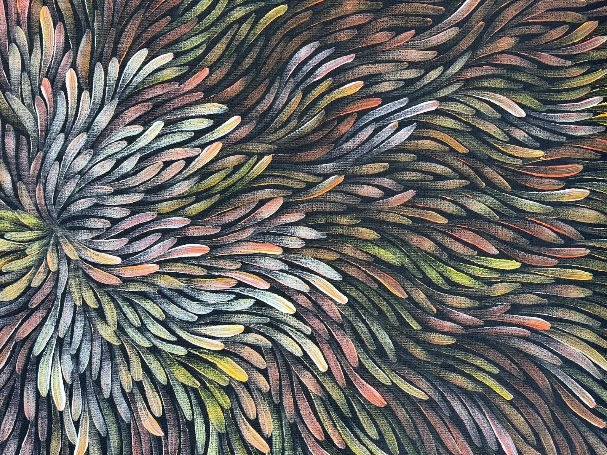 Maryanne Gibson - Bush Medicine .73-1