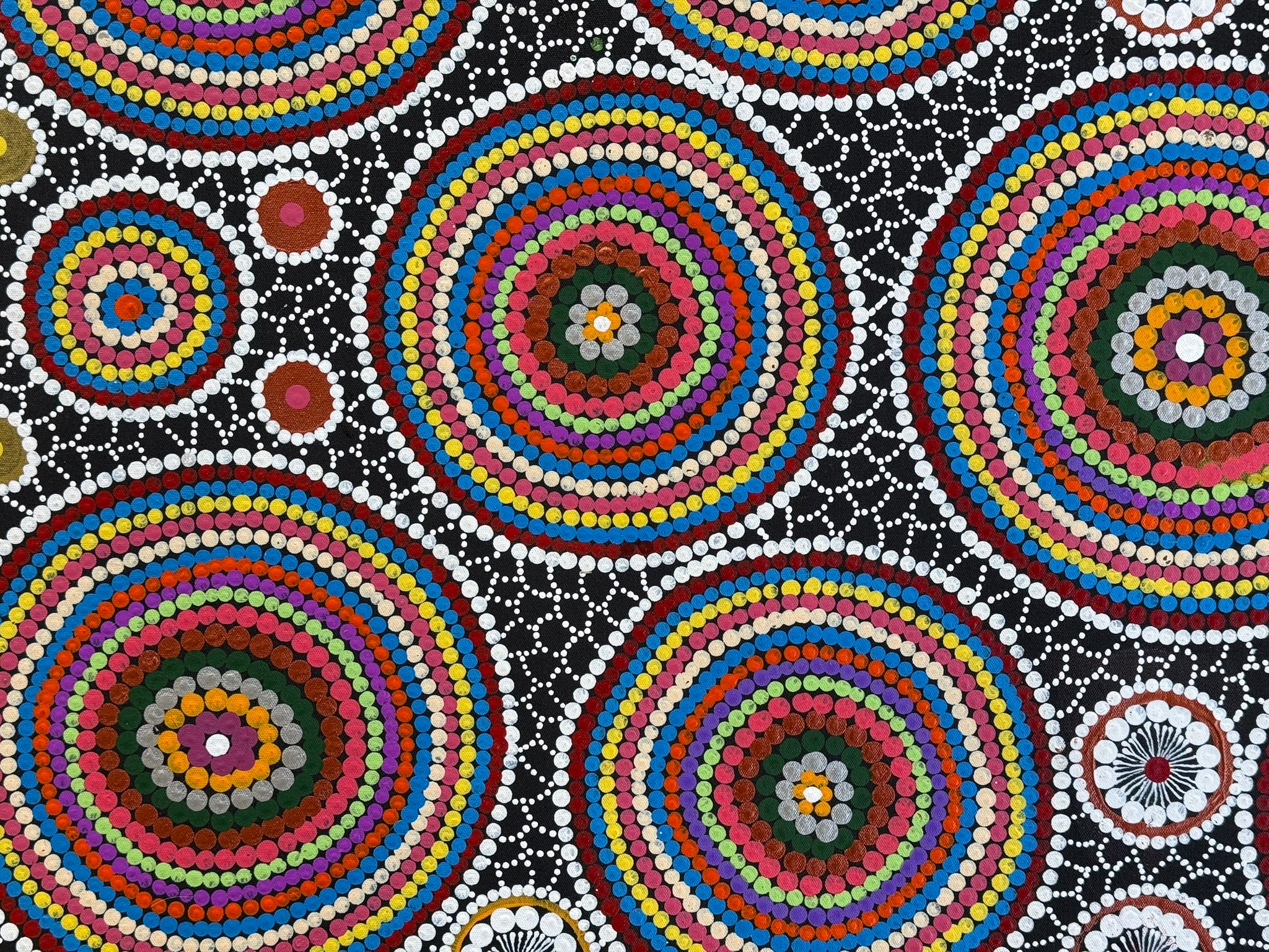 Linda Gibson - Bush Seeds, Bush Medicines, Bush Flowers .74-5