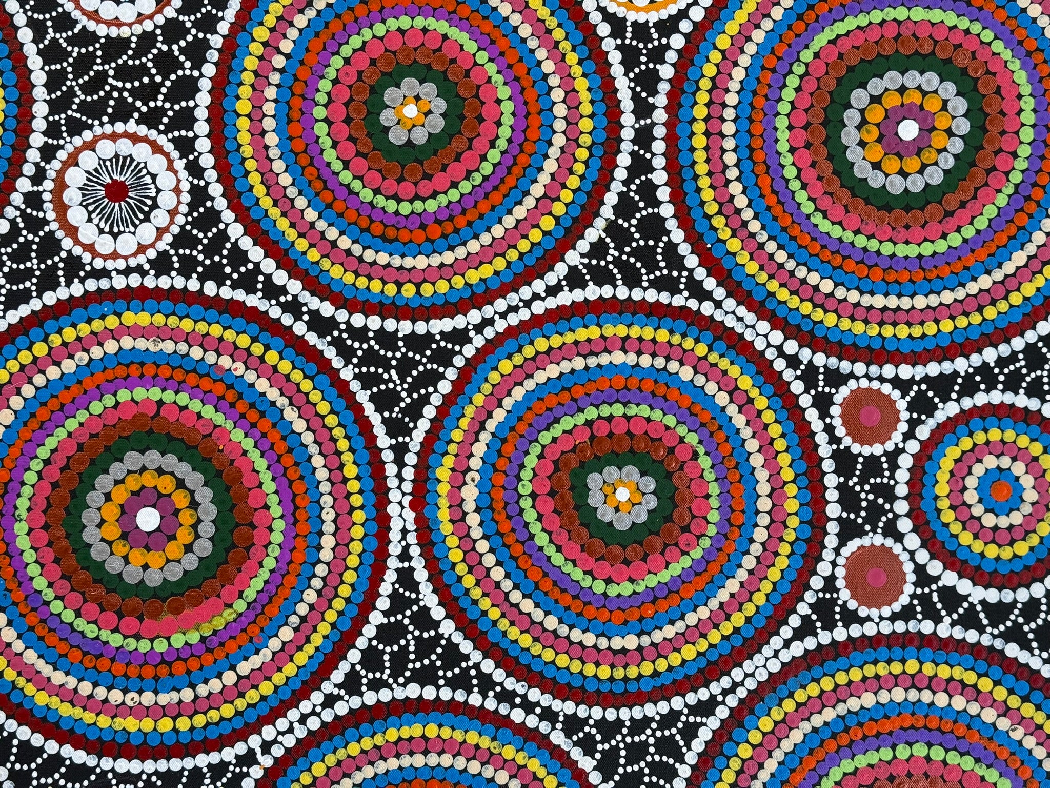 Linda Gibson - Bush Seeds, Bush Medicines, Bush Flowers .74-5