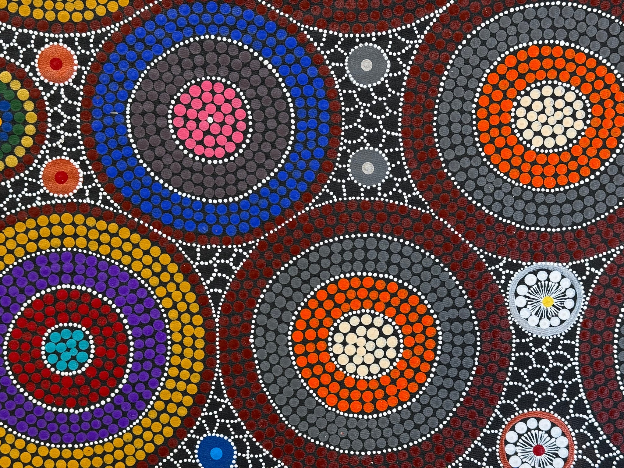 Linda Gibson - Bush Medicines, Bush Flowers, Bush Tomatoes .74-3