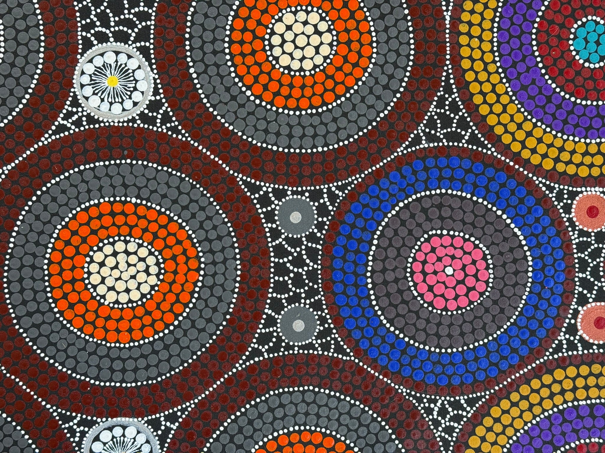 Linda Gibson - Bush Medicines, Bush Flowers, Bush Tomatoes .74-3
