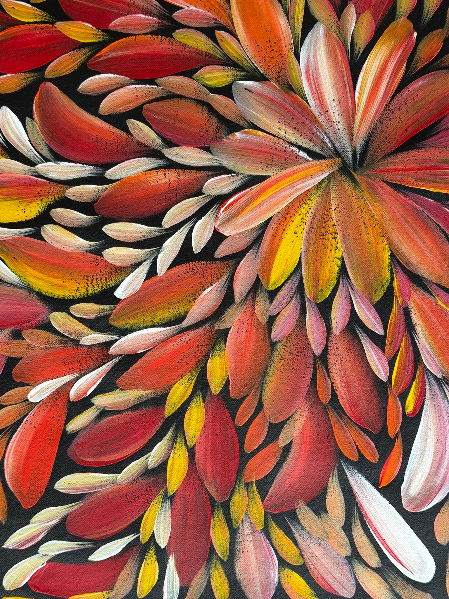 Louise Numina Napananka - Bush Medicine Leaves - 61x56cm .16-55