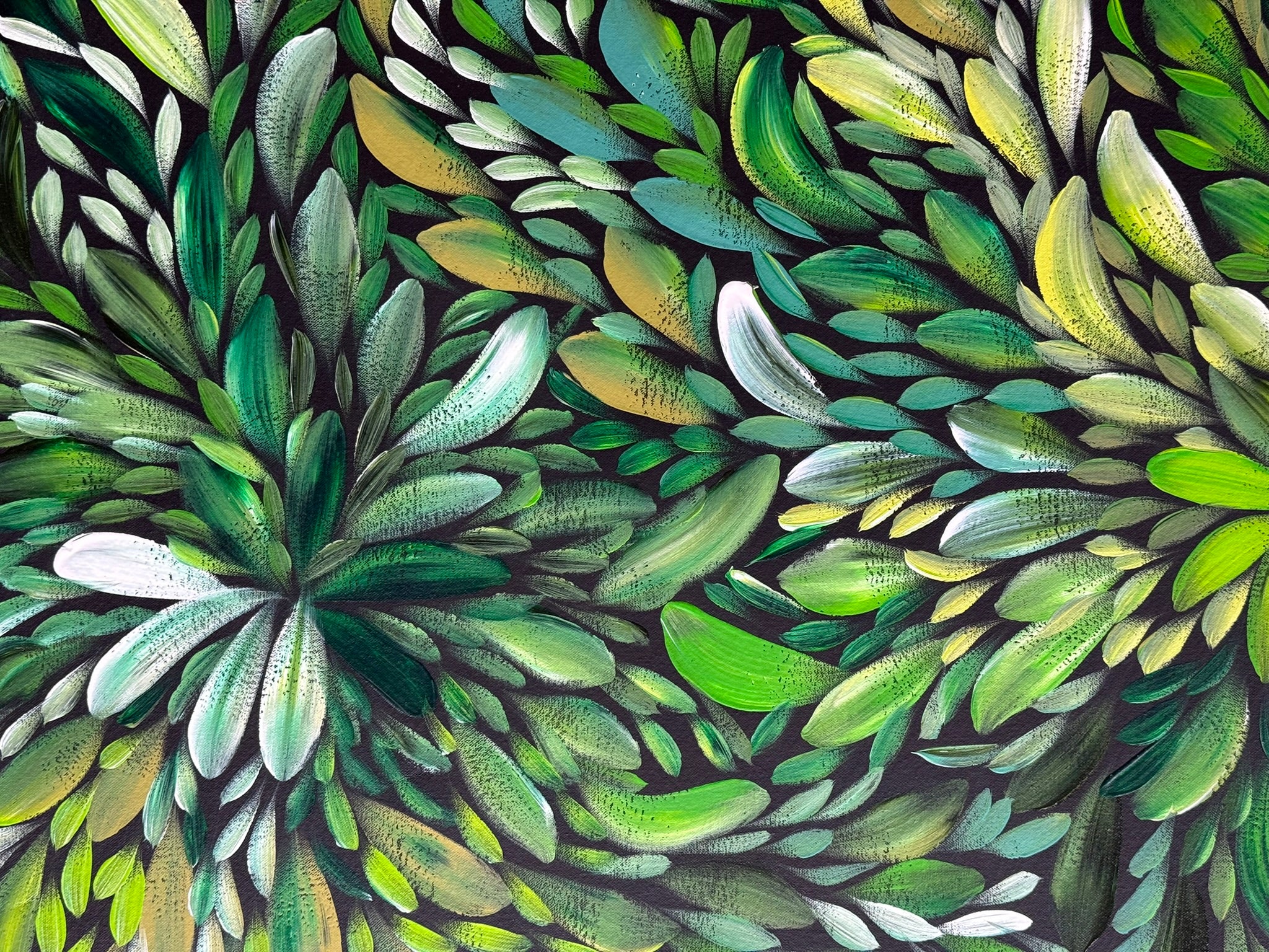 Louise Numina Napananka - Bush Medicine Leaves .22-24