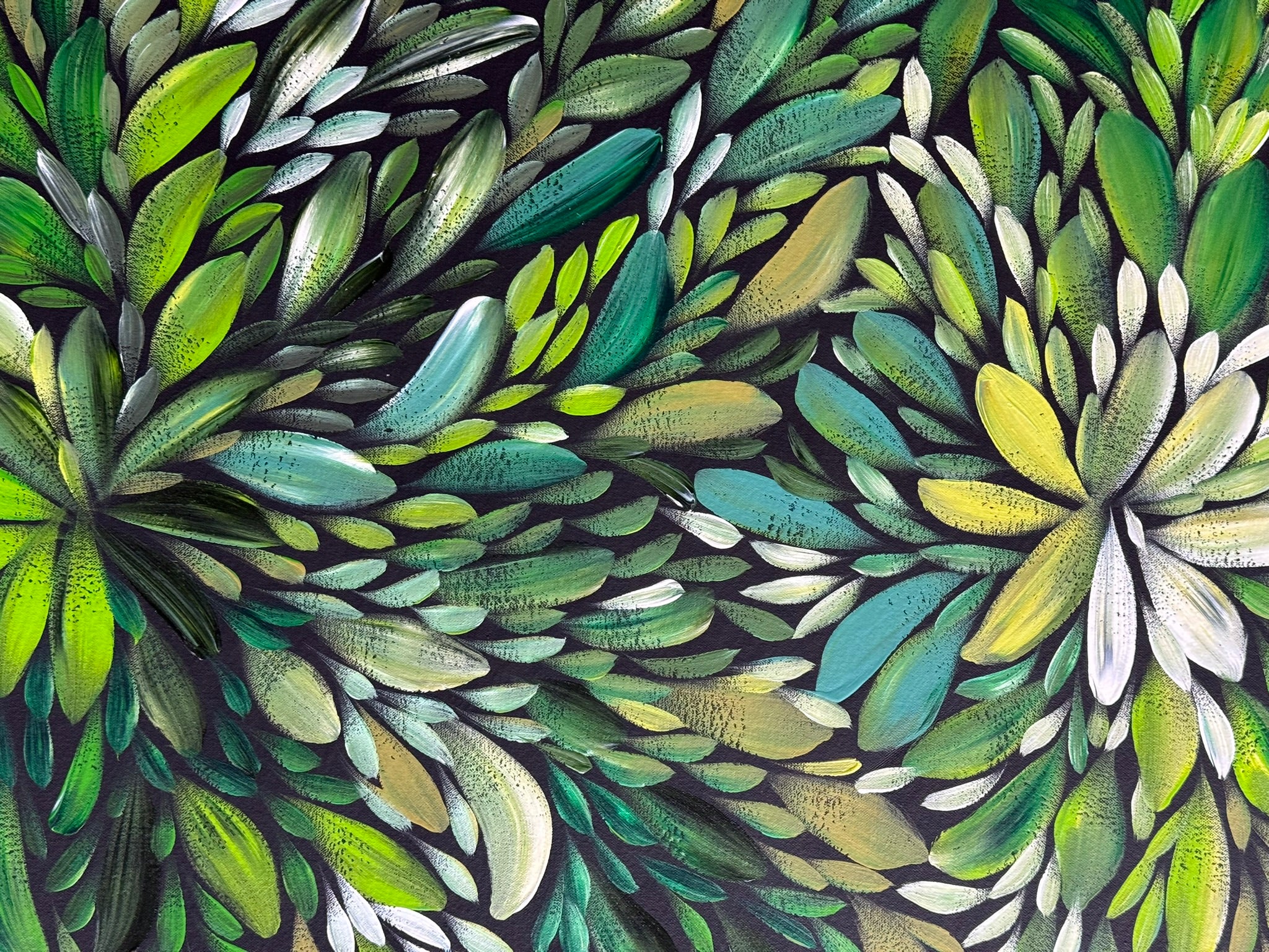 Louise Numina Napananka - Bush Medicine Leaves .22-24