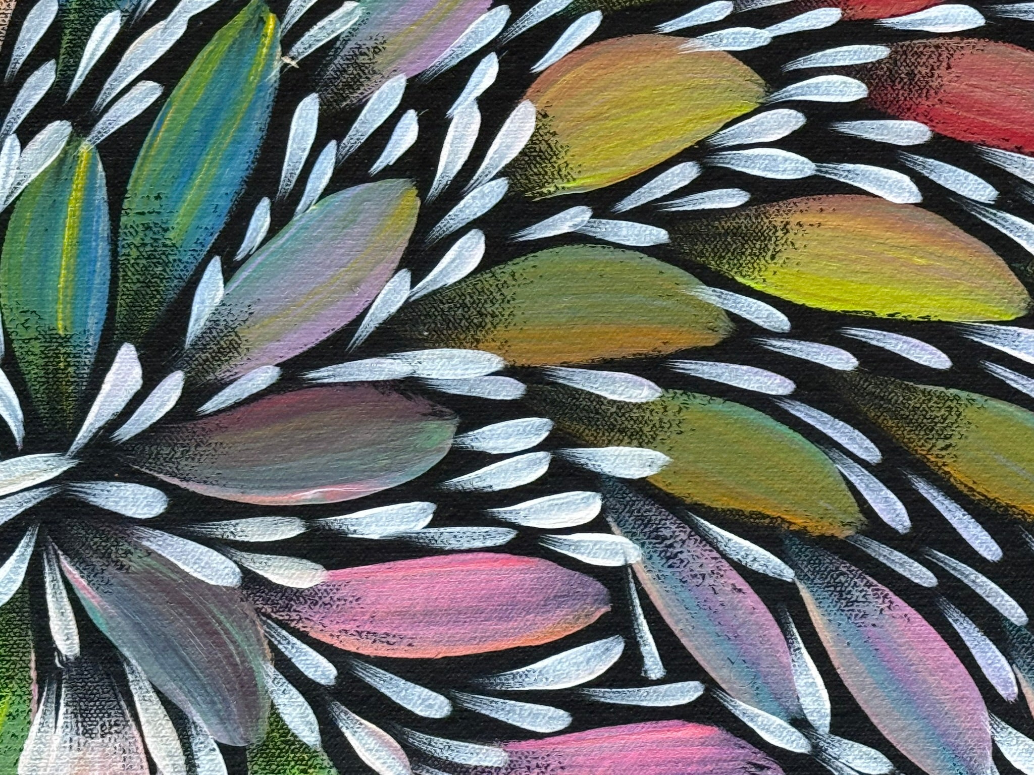 Selina Numina Kamprina - Bush Medicine Leaves .37-3