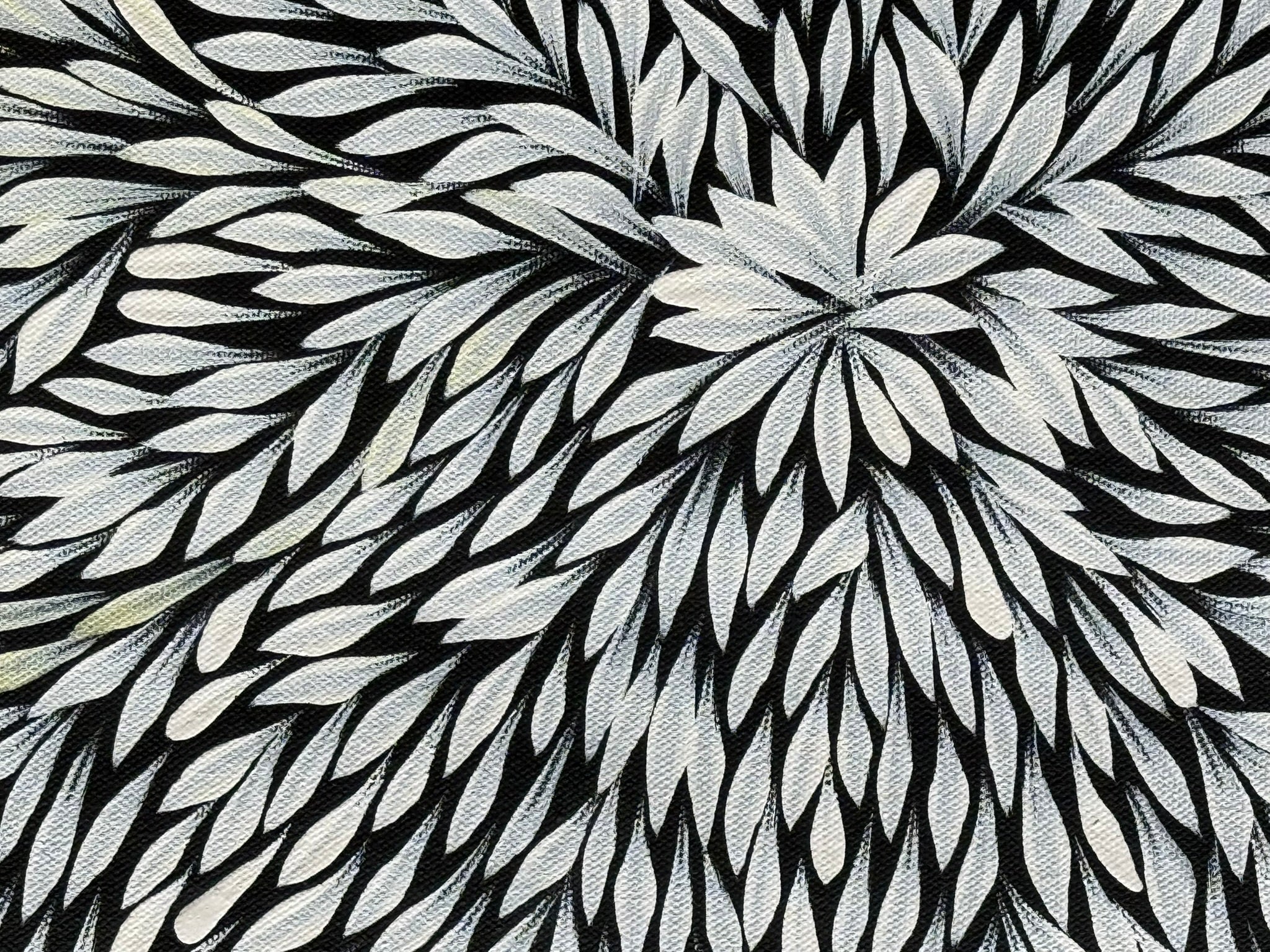 Sharon Turner - Bush Medicine Leaves .32-3