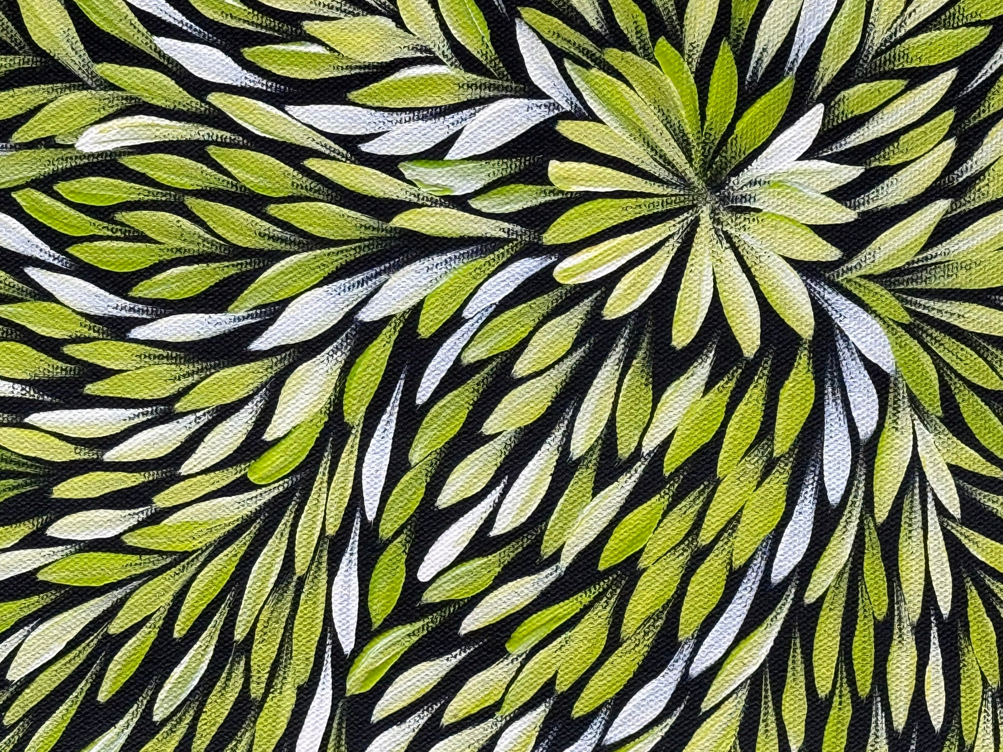 Sharon Turner - Bush Medicine Leaves .32-5