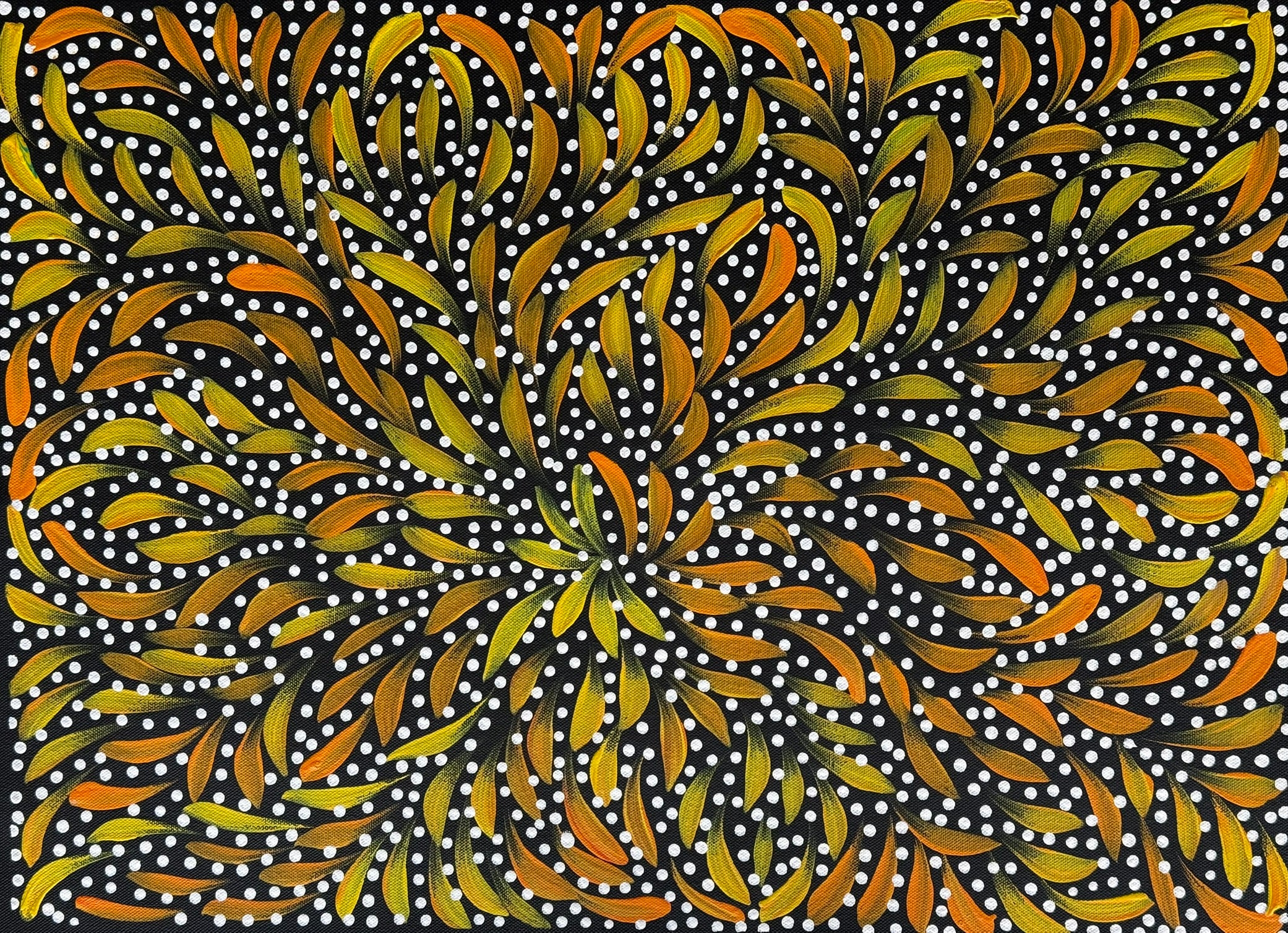 Caroline Numina - Bush Medicine Leaves and Seeds .35-3