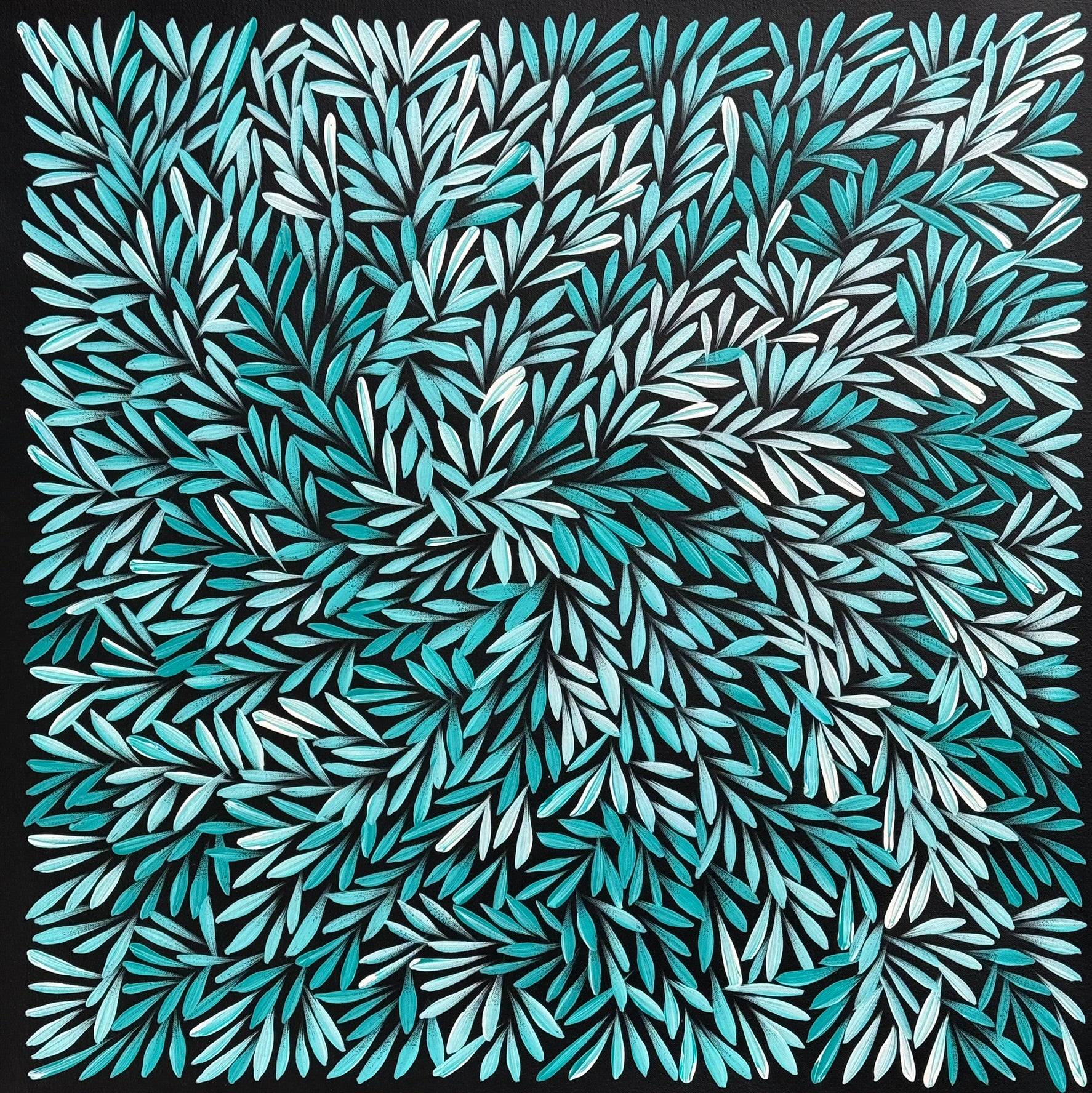 Sharon Numina - Bush Medicine Leaves - 64x64cm .02-17