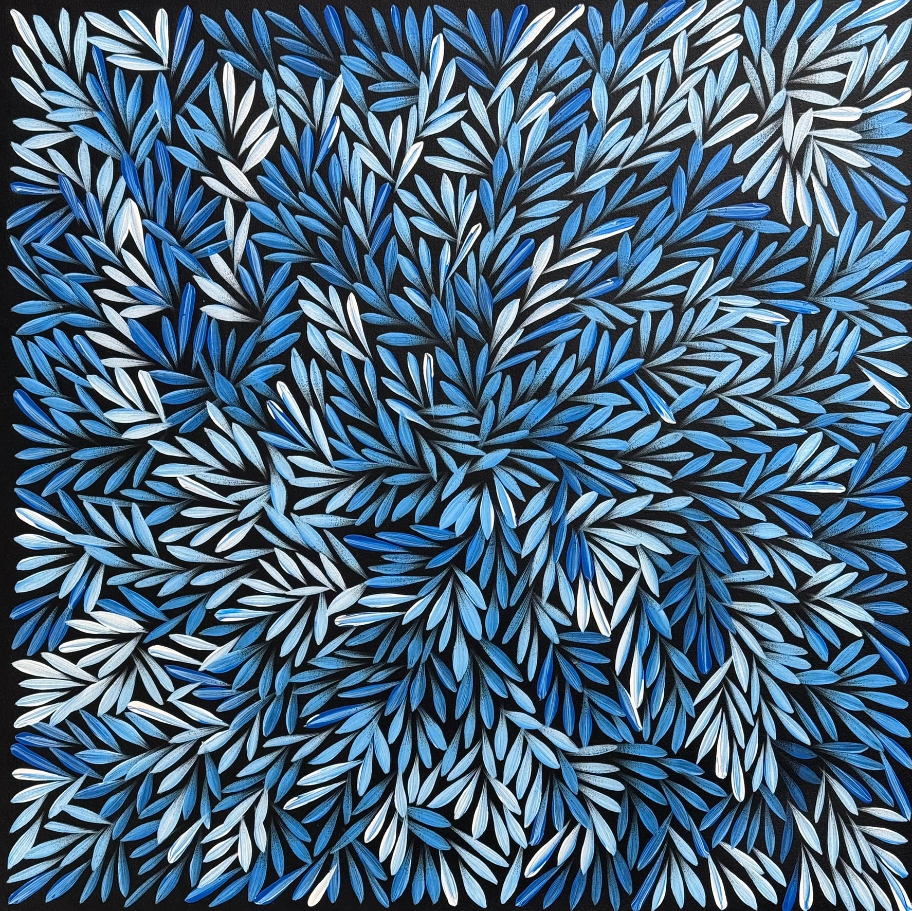 Sharon Numina - Bush Medicine Leaves - 63x64cm .02-16