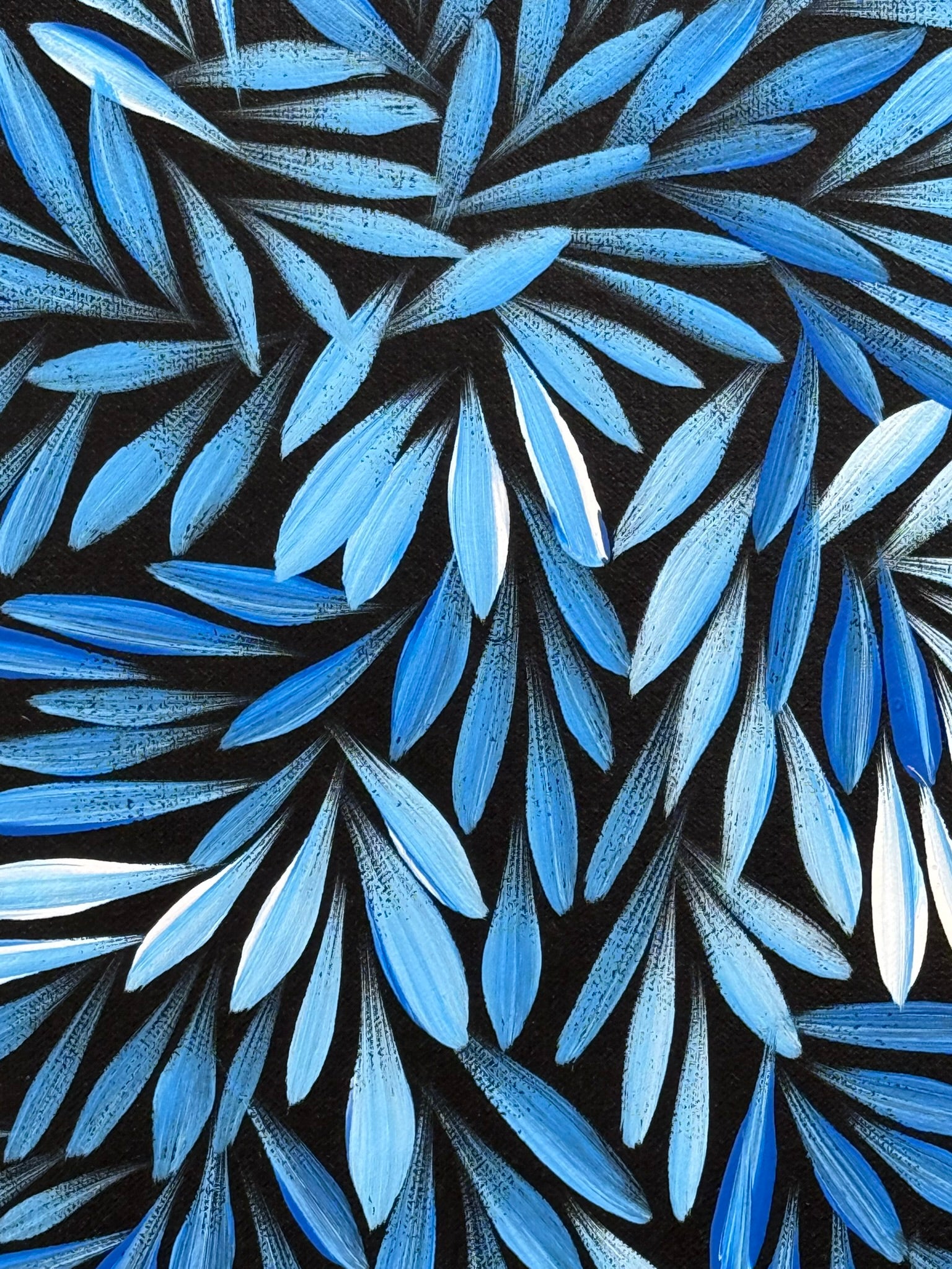 Sharon Numina - Bush Medicine Leaves - 63x64cm .02-16