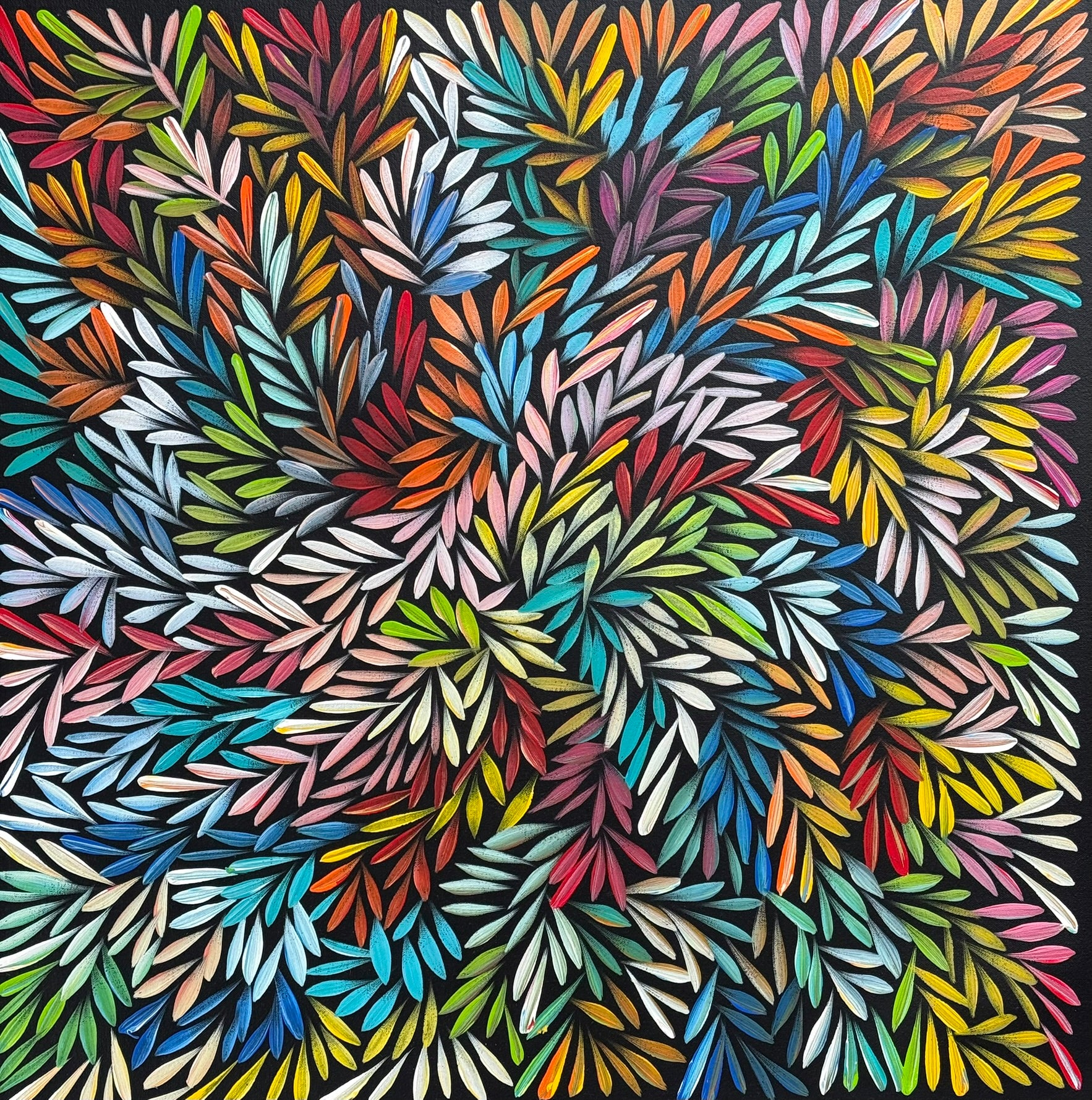 Sharon Numina - Bush Medicine Leaves - 64x63cm .02-18