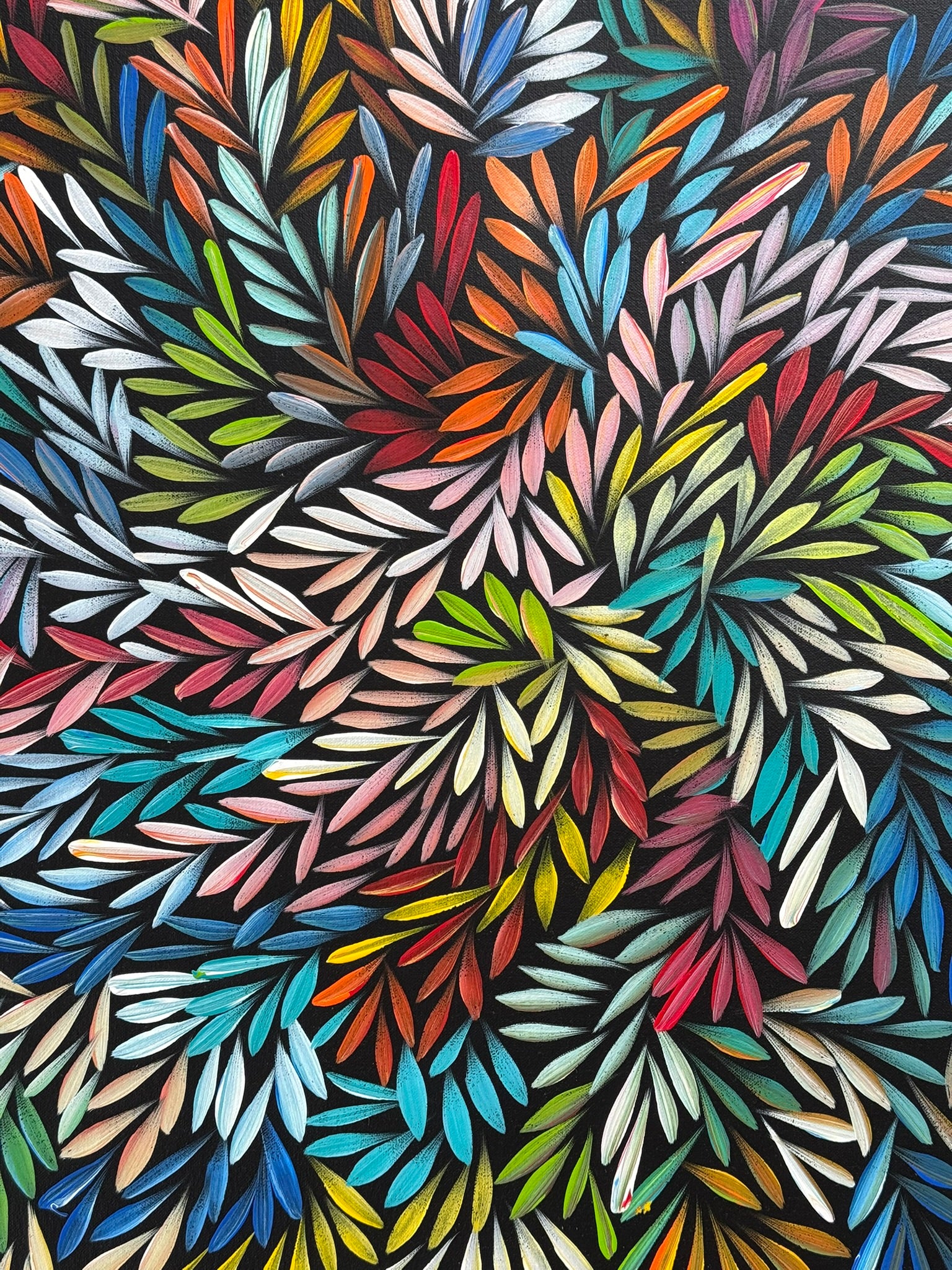 Sharon Numina - Bush Medicine Leaves - 64x63cm .02-18