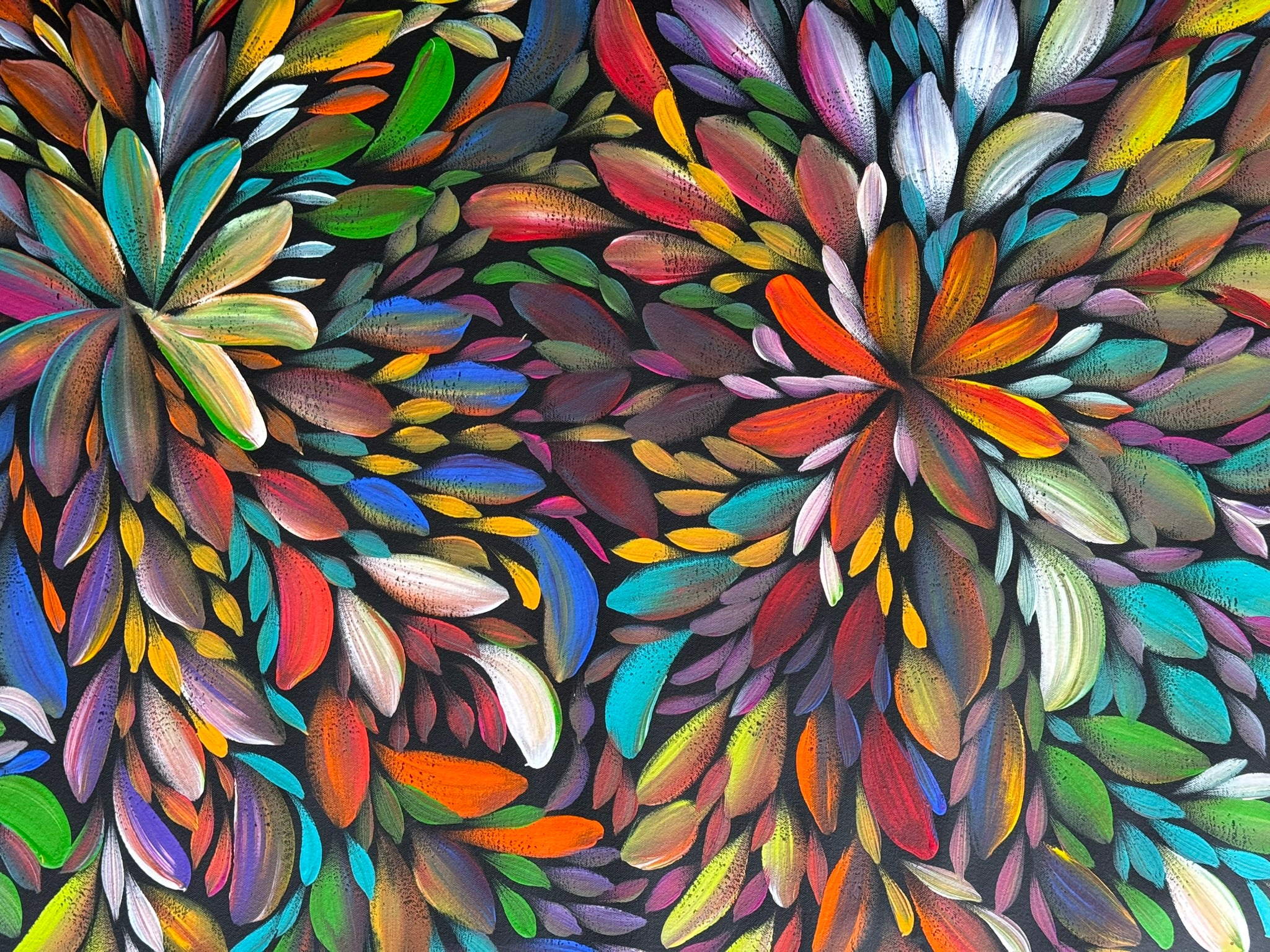 Louise Numina Napananka - Bush Medicine Leaves .36-1