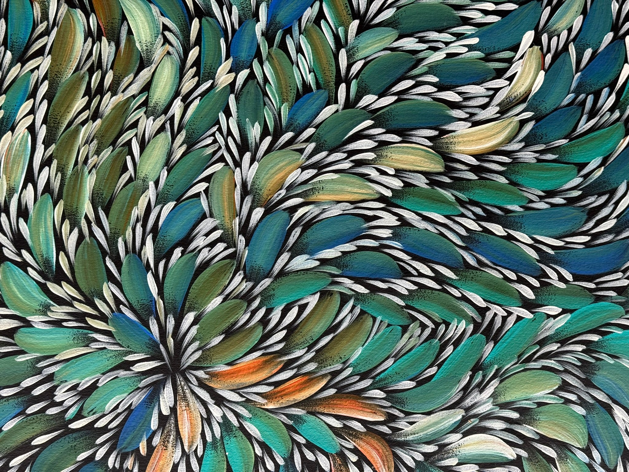 Selina Numina Kamprina - Bush Medicine Leaves .37-5