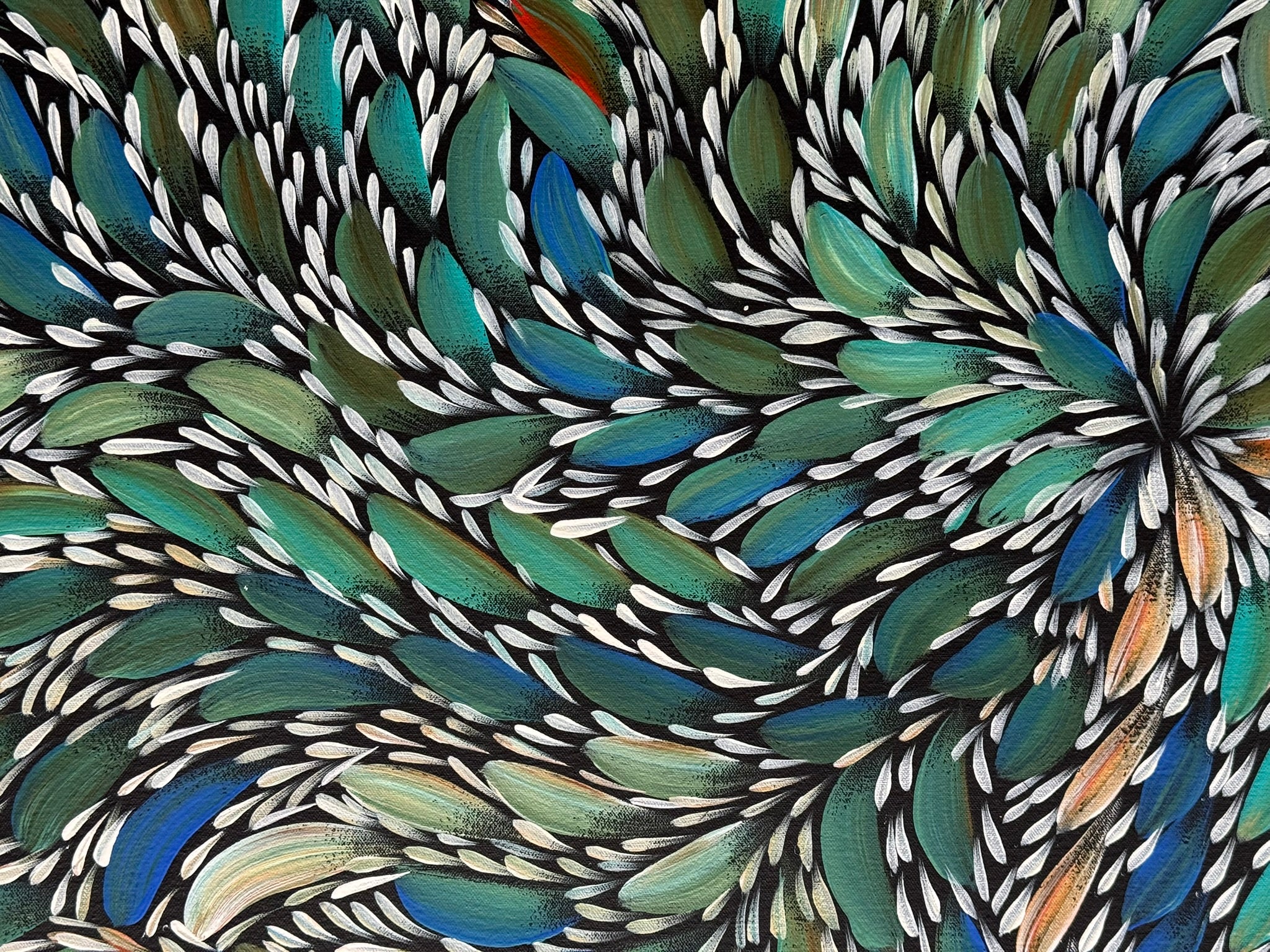 Selina Numina Kamprina - Bush Medicine Leaves .37-5