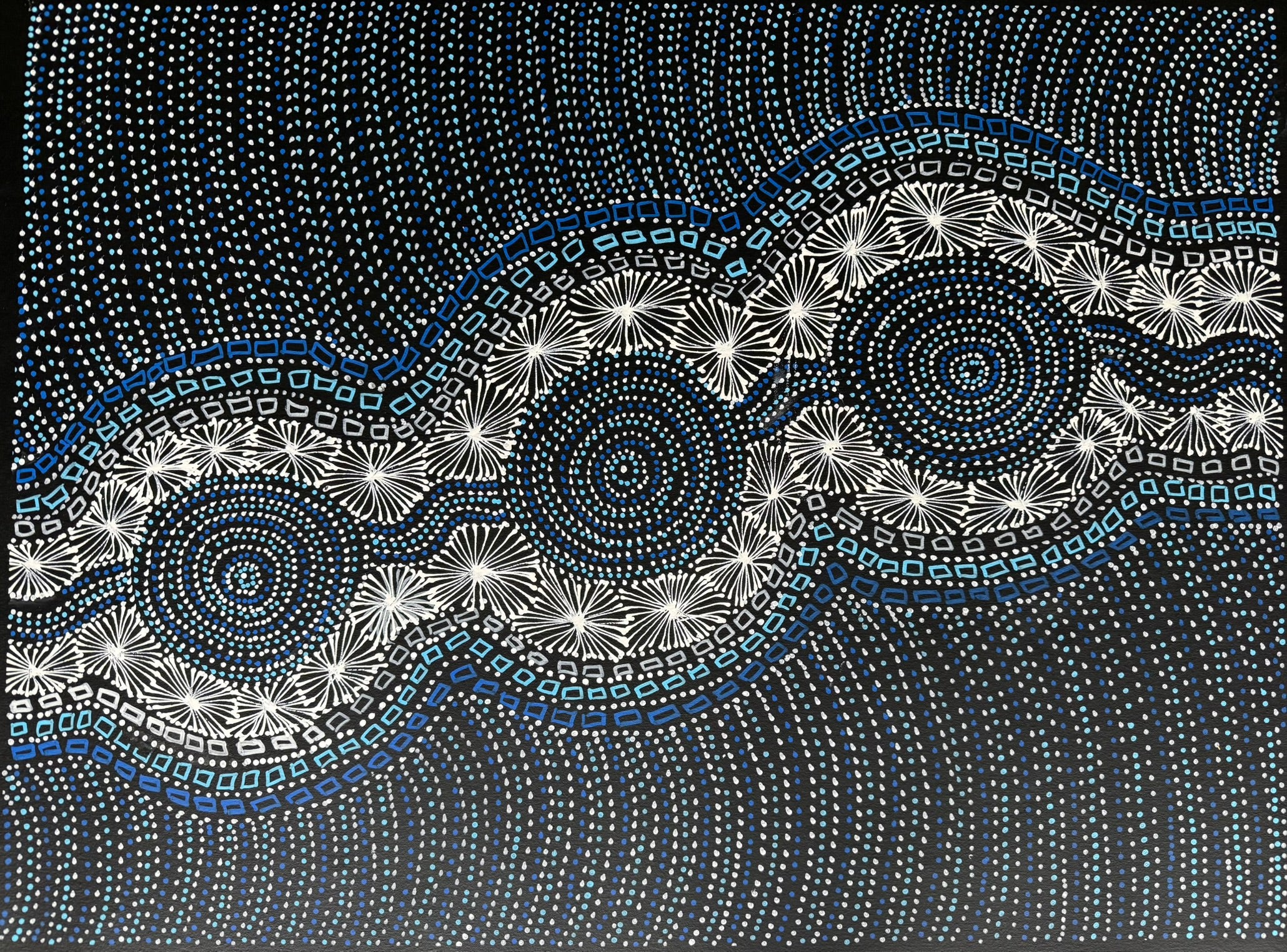 Selina Numina Kamprina - Seeds and Waterholes .37-6
