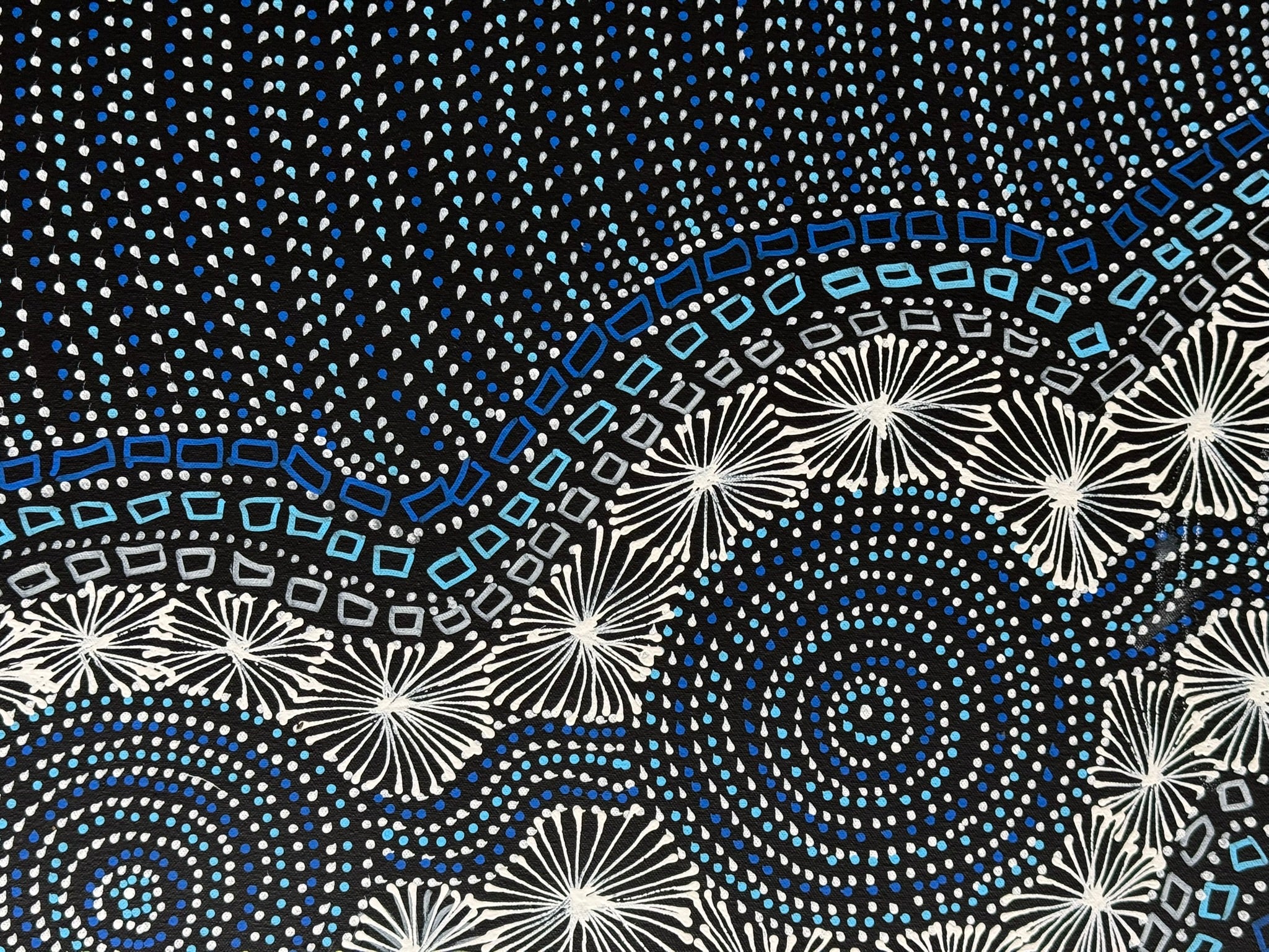 Selina Numina Kamprina - Seeds and Waterholes .37-6
