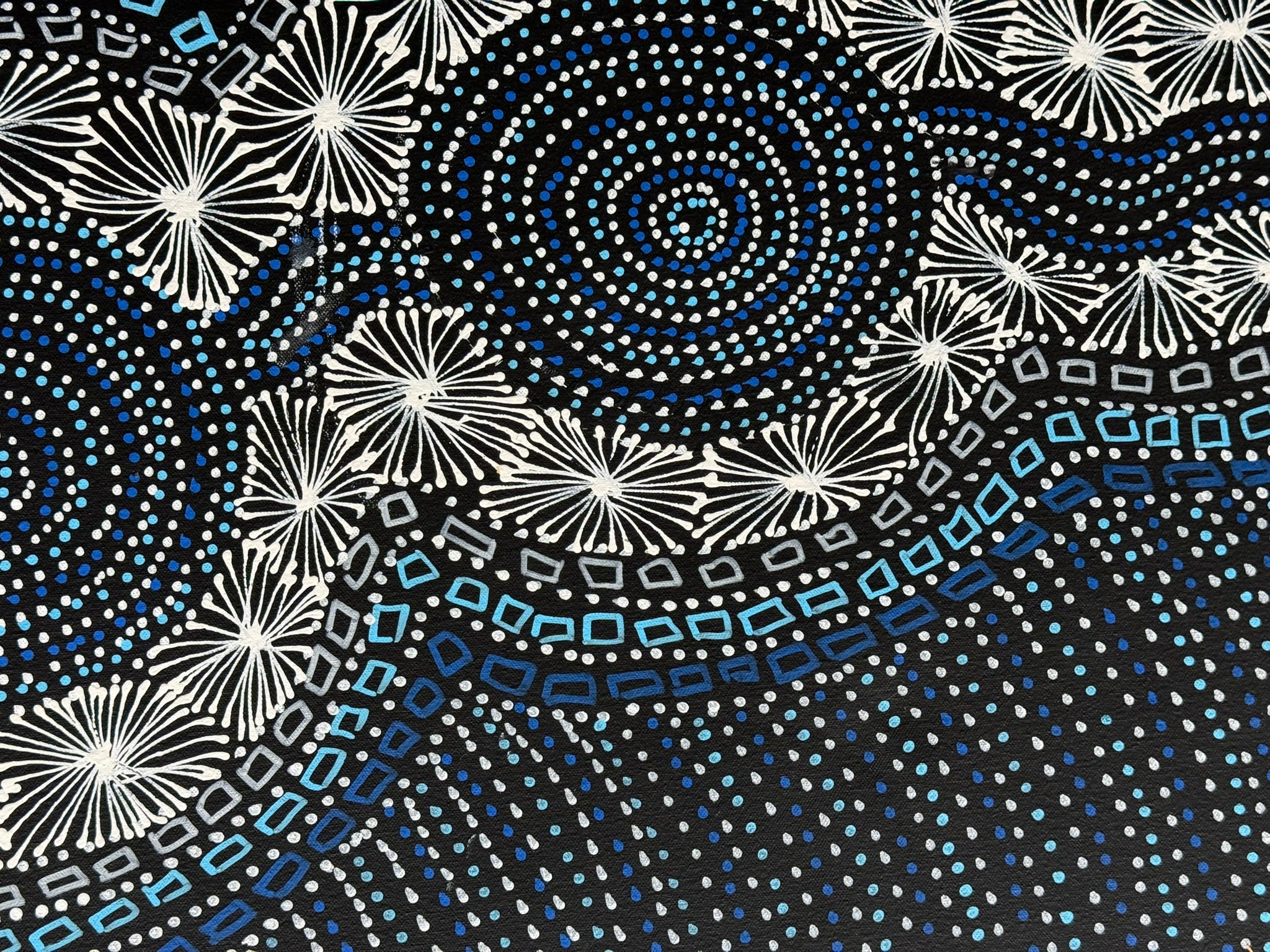 Selina Numina Kamprina - Seeds and Waterholes .37-6