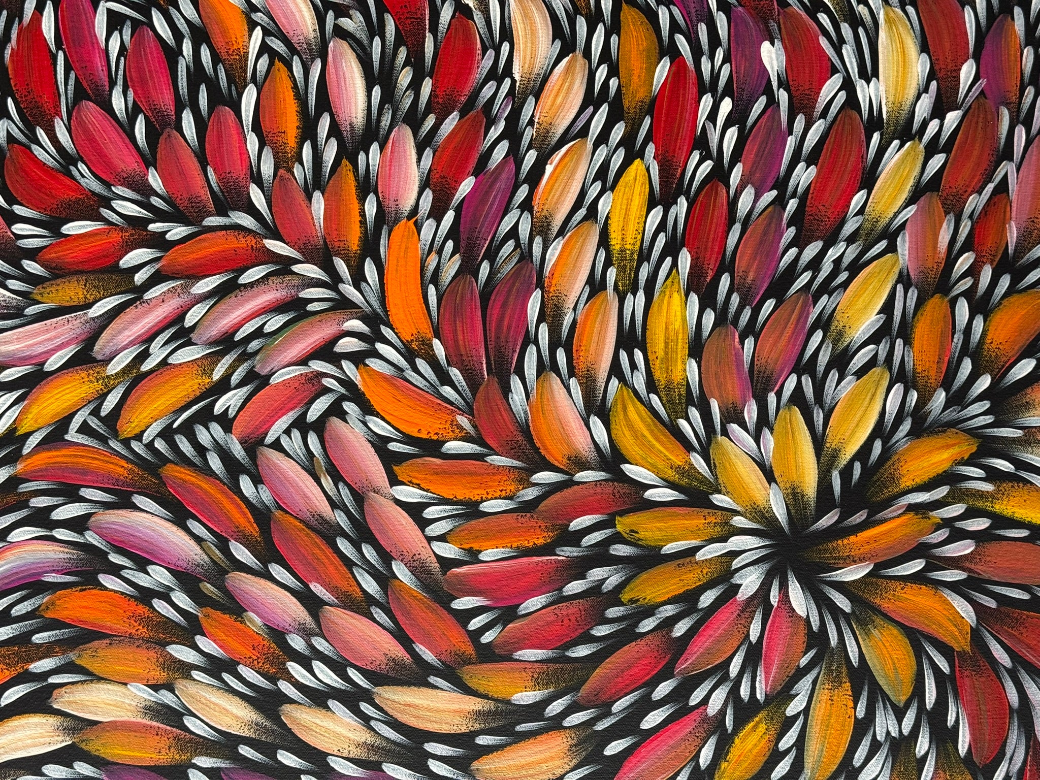 Selina Numina Kamprina - Bush Medicine Leaves .37-7