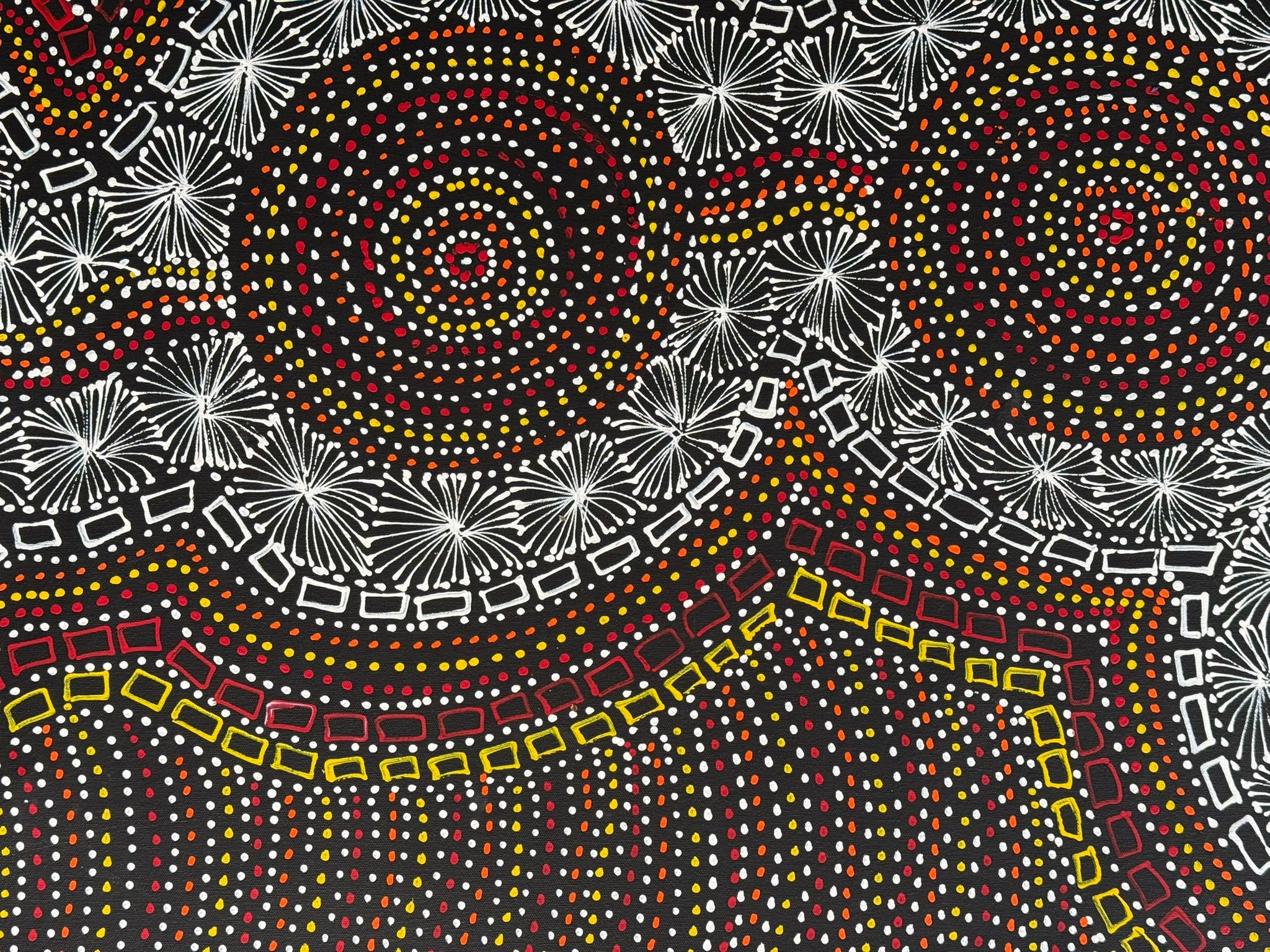 Selina Numina Kamprina - Seeds and Waterholes .37-1