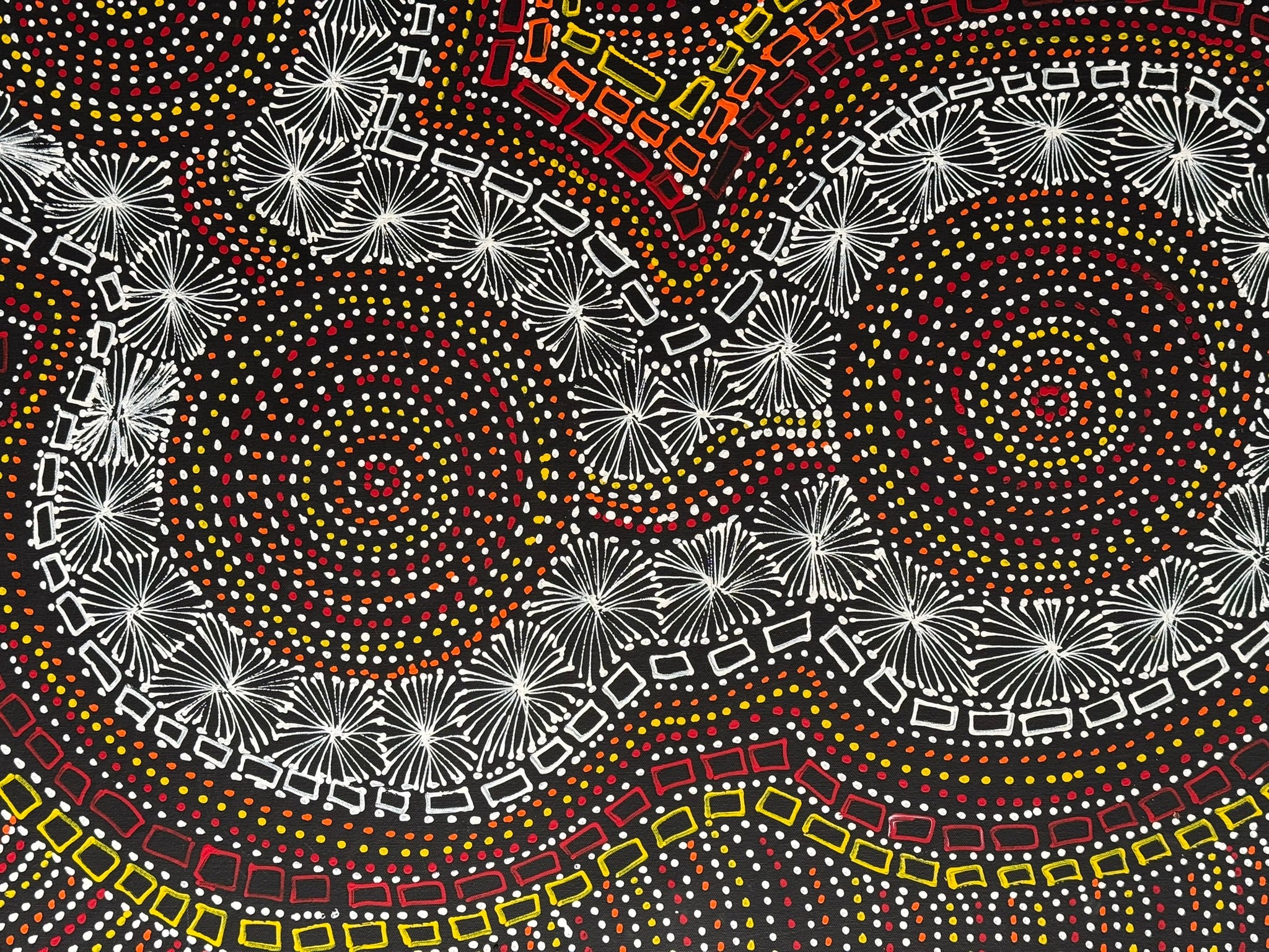 Selina Numina Kamprina - Seeds and Waterholes .37-1