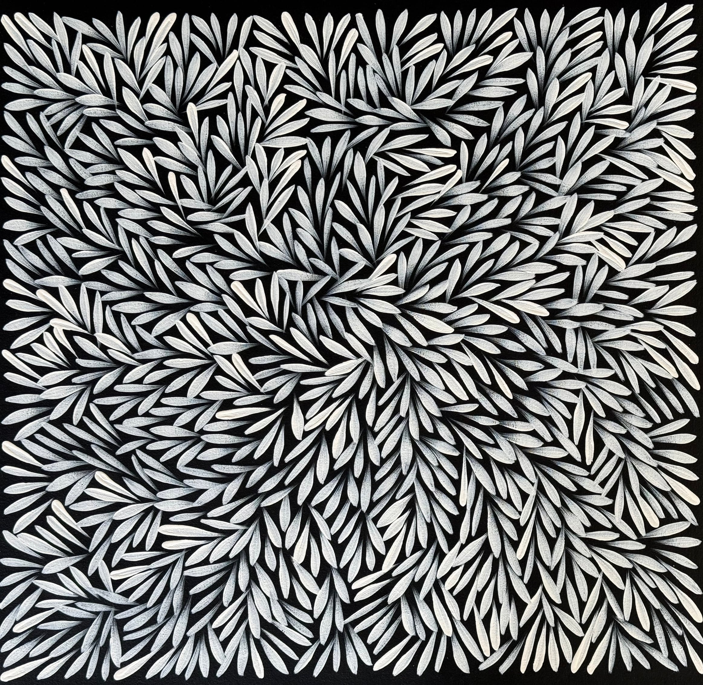 Sharon Numina - Bush Medicine Leaves - 61x58cm .02-19