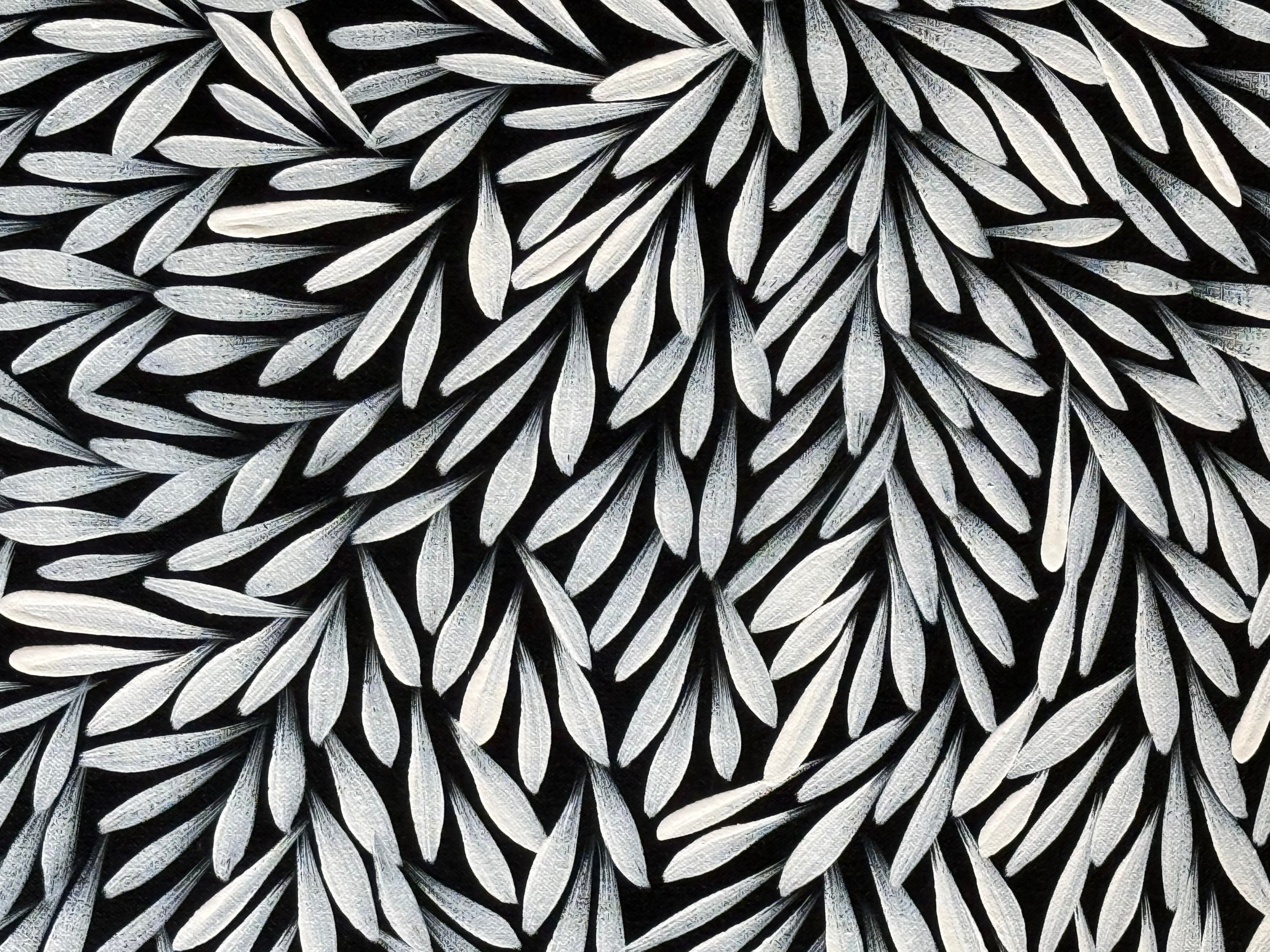 Sharon Numina - Bush Medicine Leaves - 61x58cm .02-19