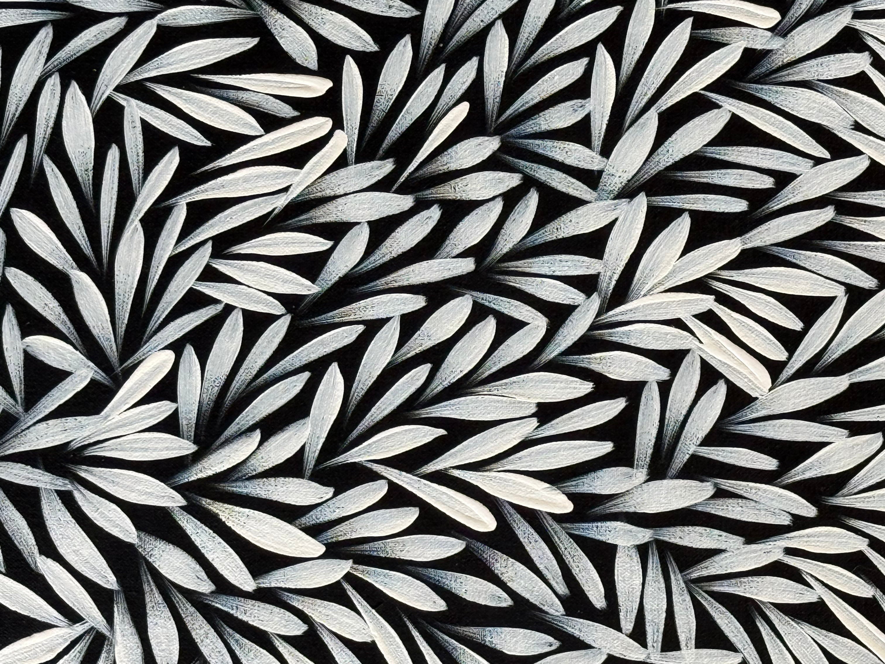 Sharon Numina - Bush Medicine Leaves - 61x58cm .02-19