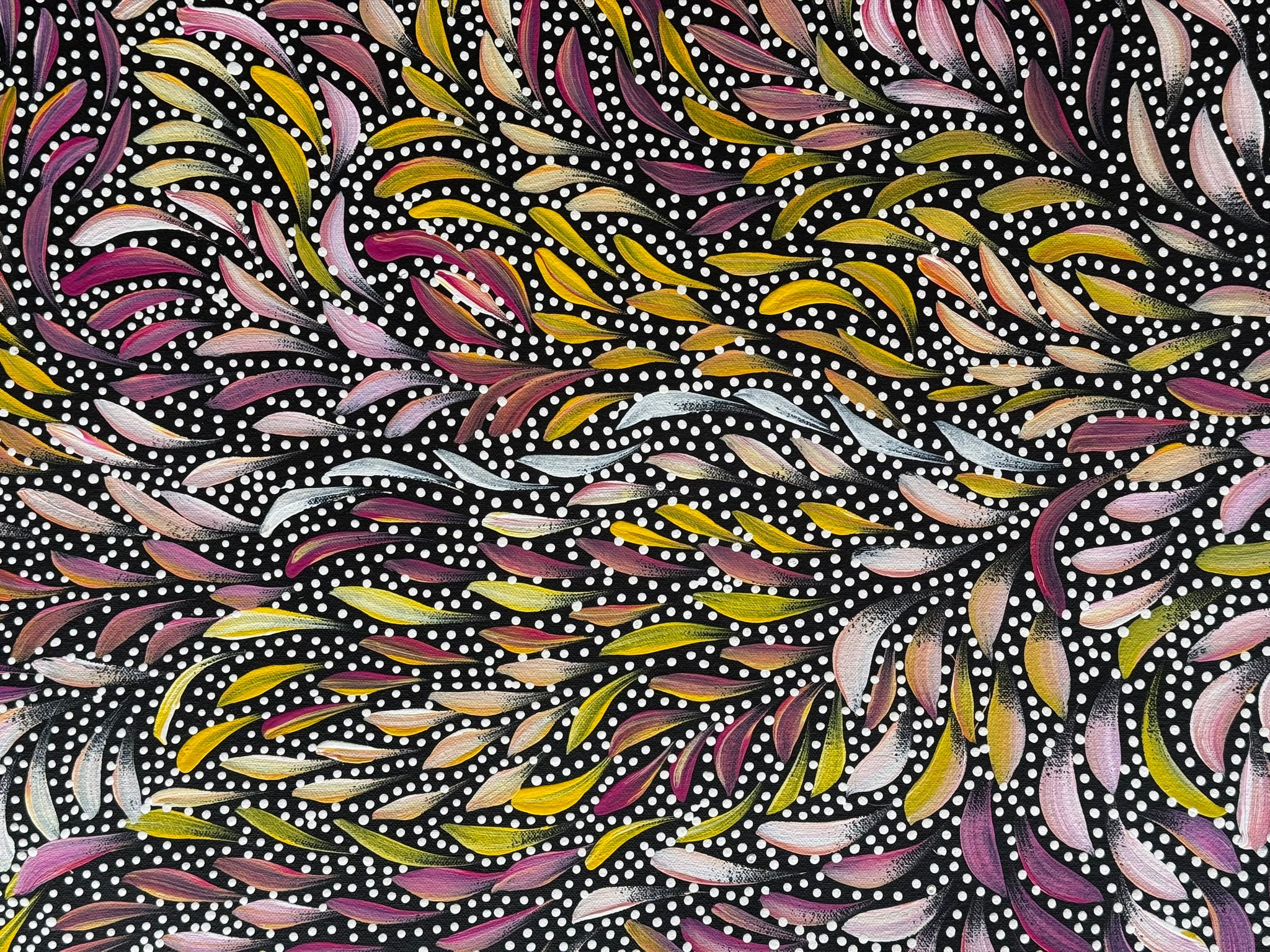 Caroline Numina - Bush Medicine Leaves with Seeds .35-19