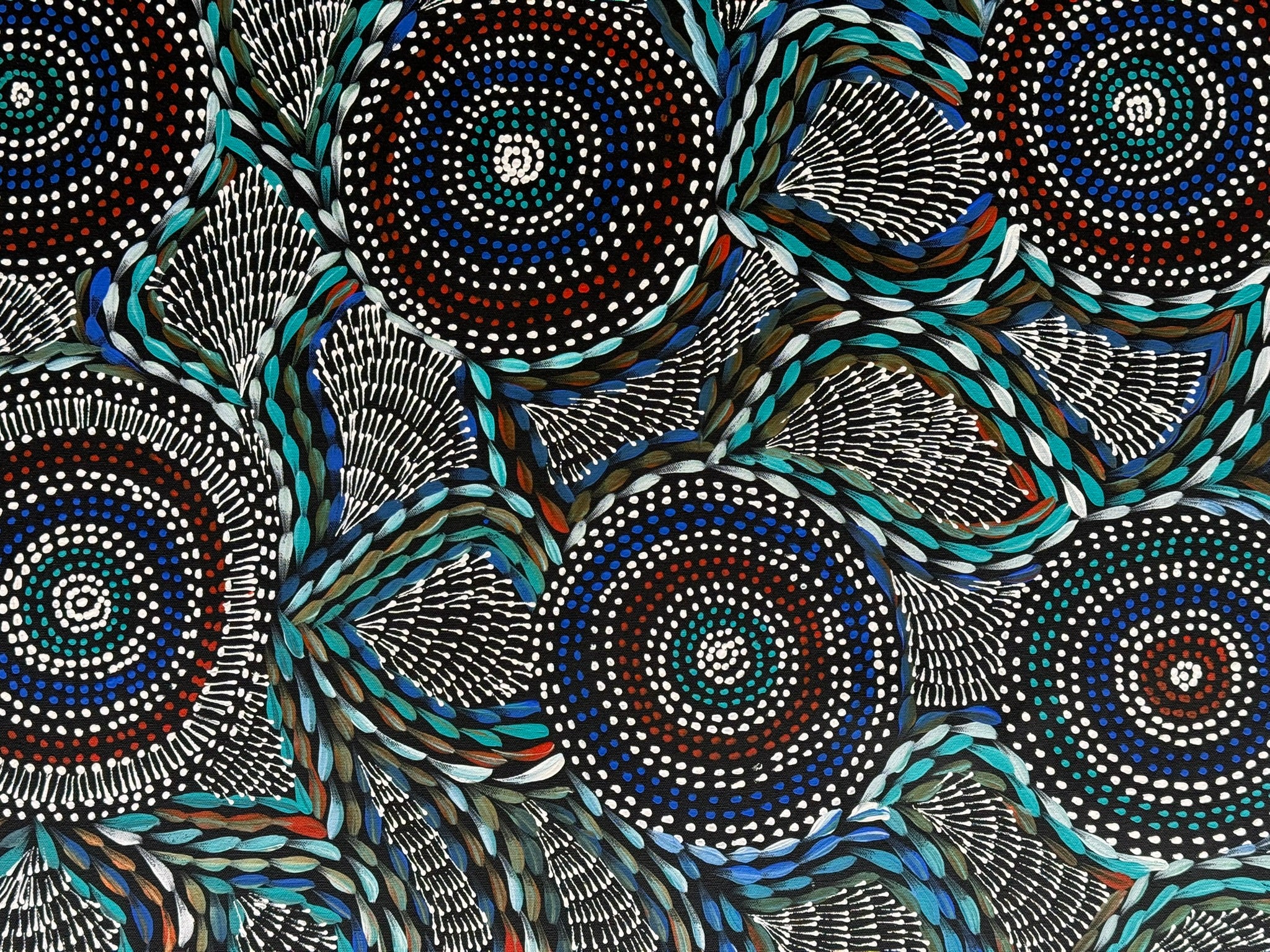 Scott Duggie - Waterholes and Bush Medicine Leaves .40