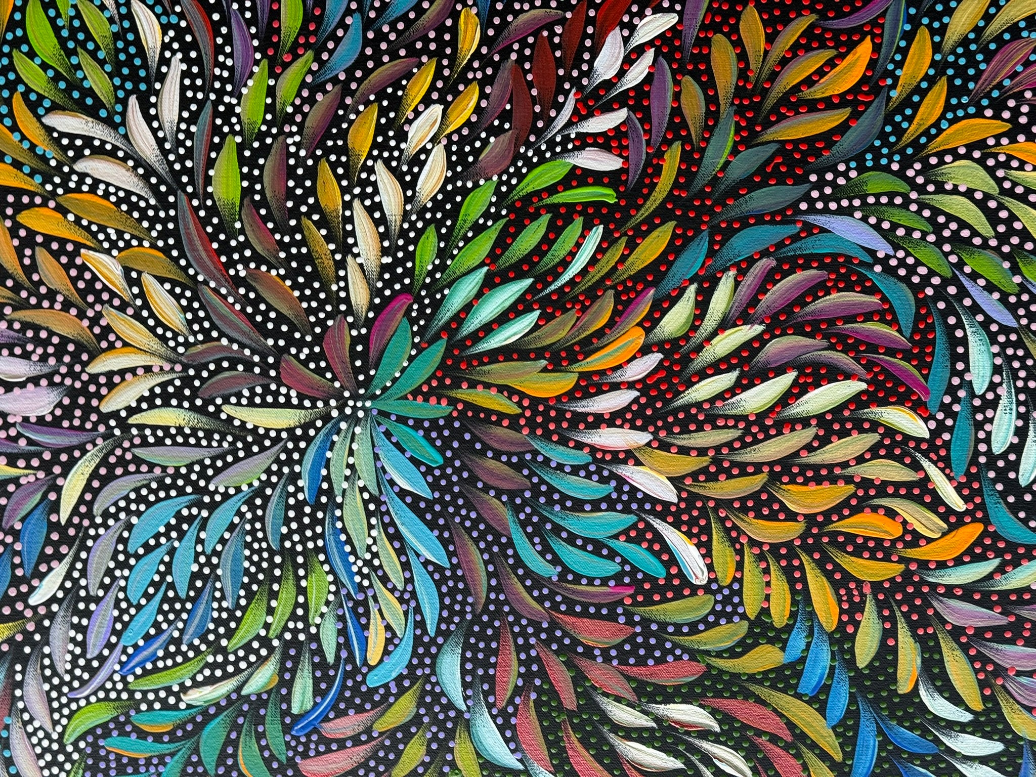 Caroline Numina - Bush Medicine Leaves and Seeds .35-17