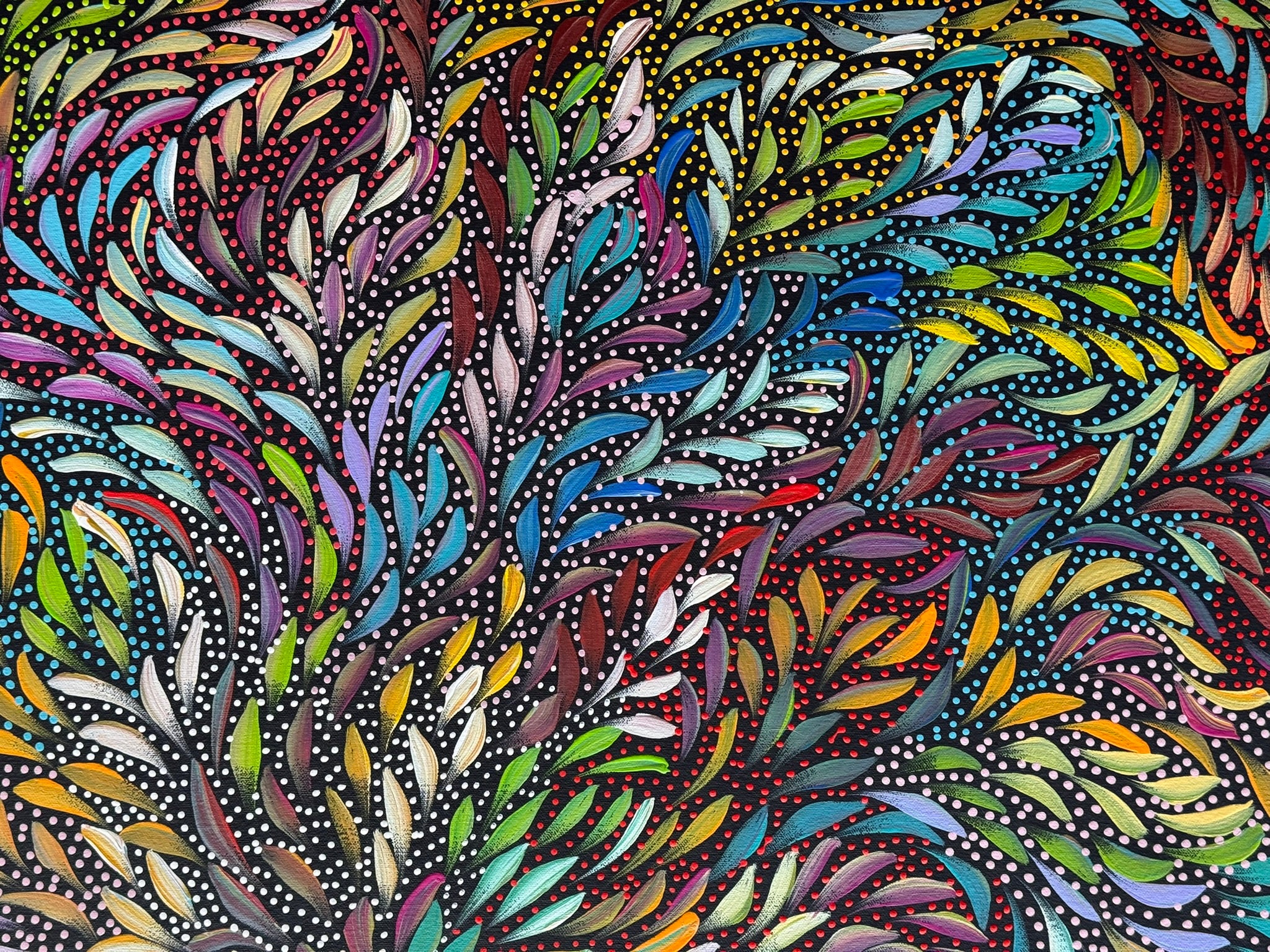 Caroline Numina - Bush Medicine Leaves and Seeds .35-17