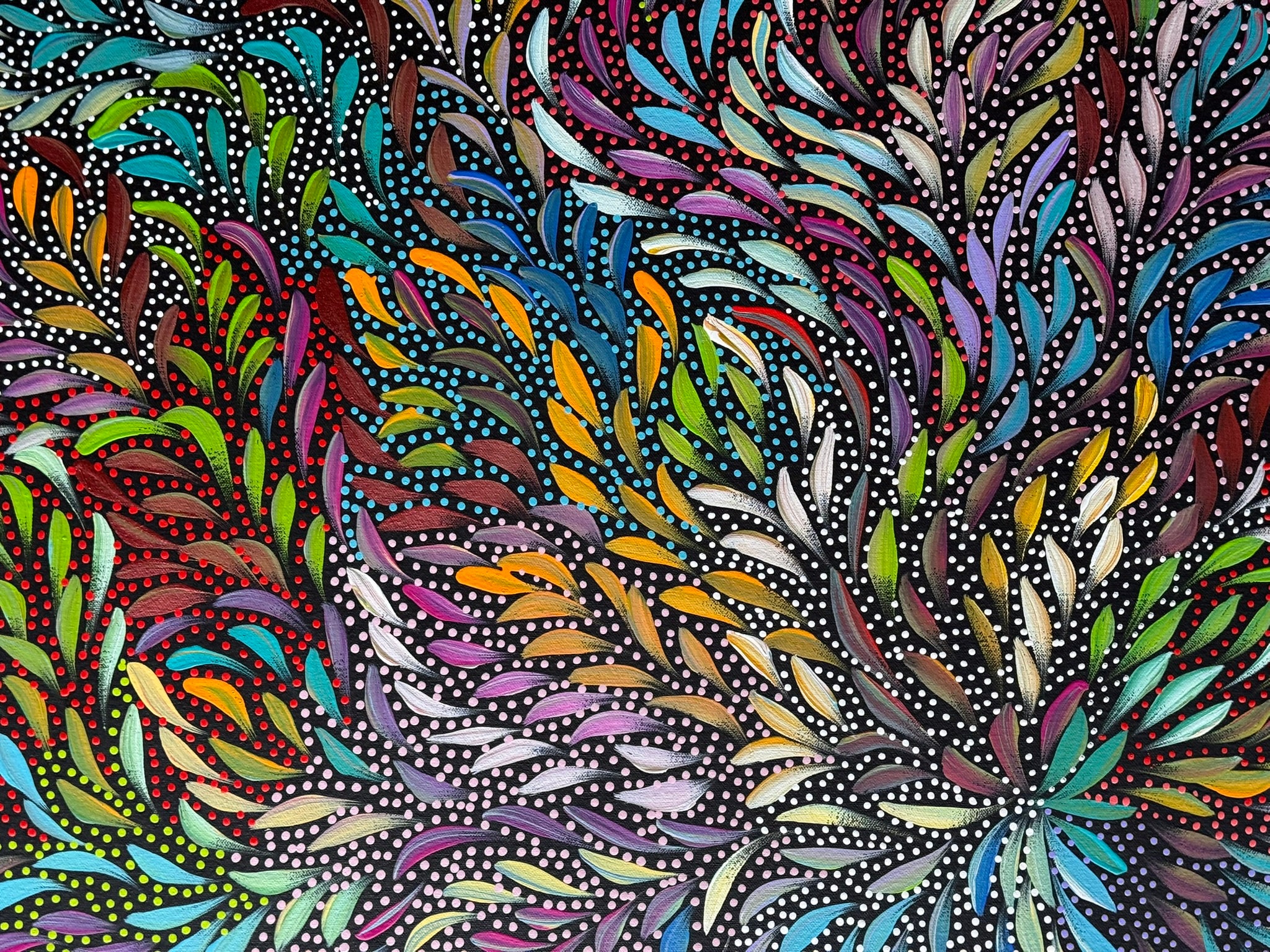 Caroline Numina - Bush Medicine Leaves and Seeds .35-17