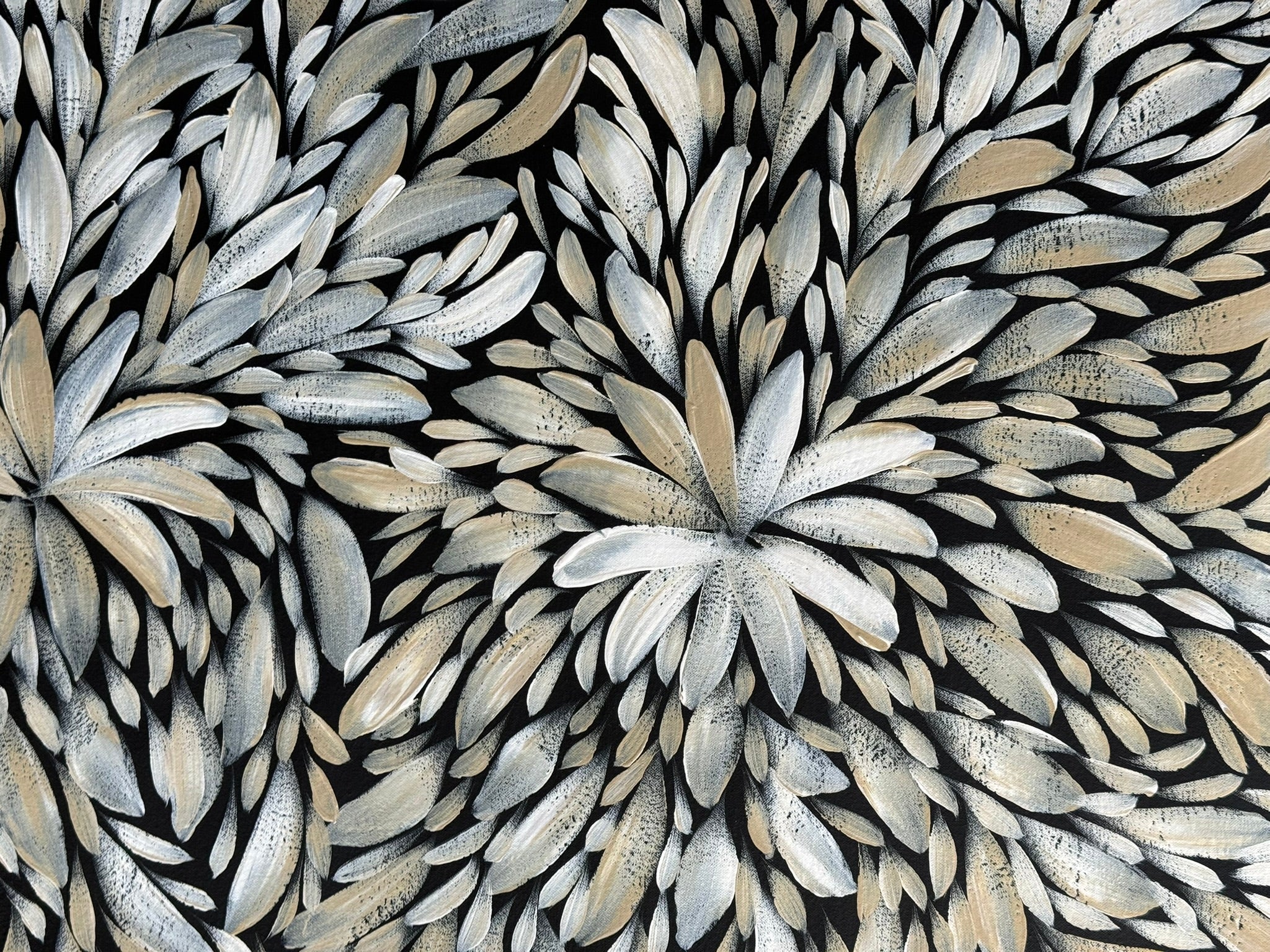 Louise Numina Napananka - Bush Medicine Leaves .22-16