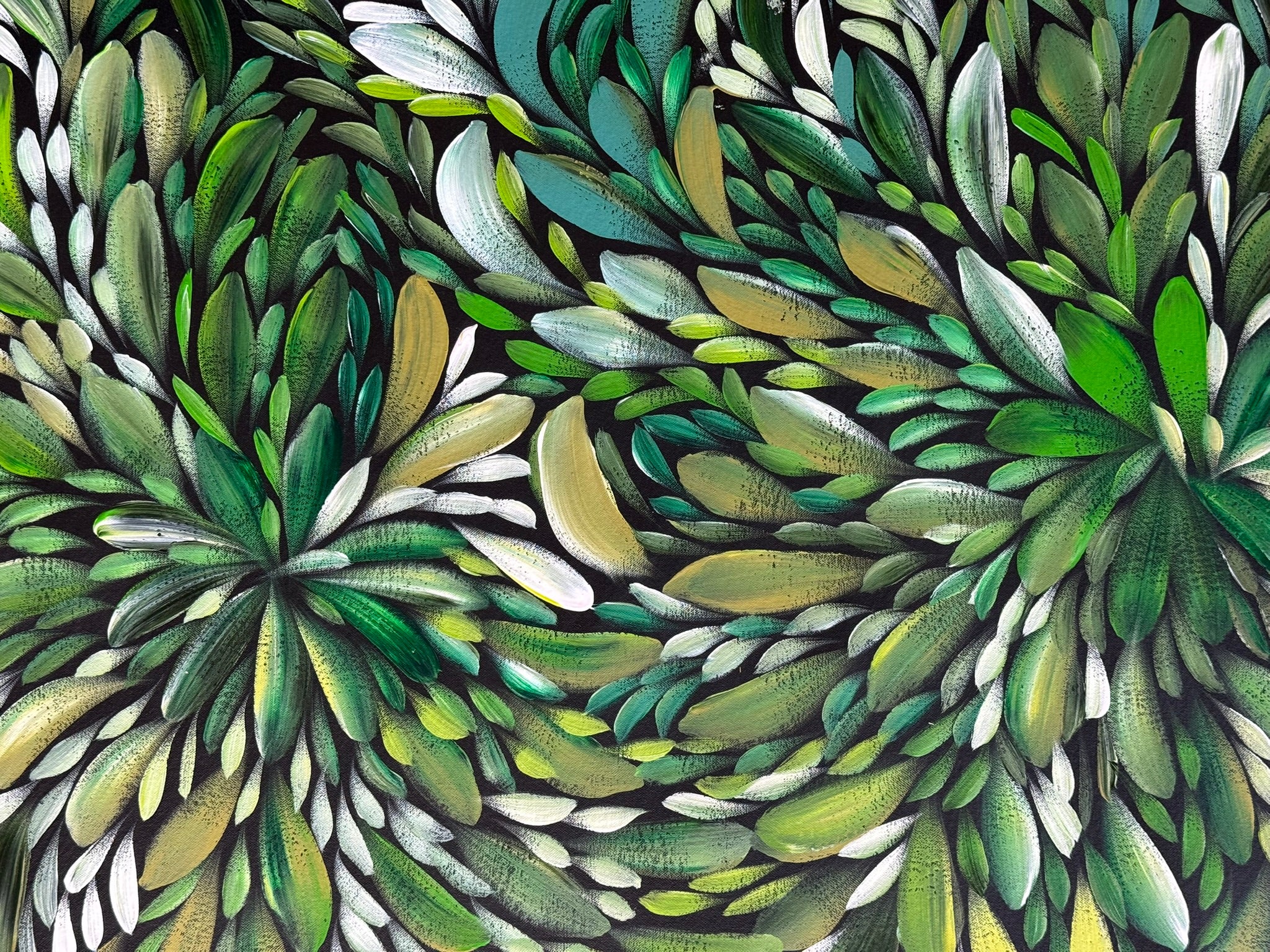 Louise Numina Napananka - Bush Medicine Leaves .22-15
